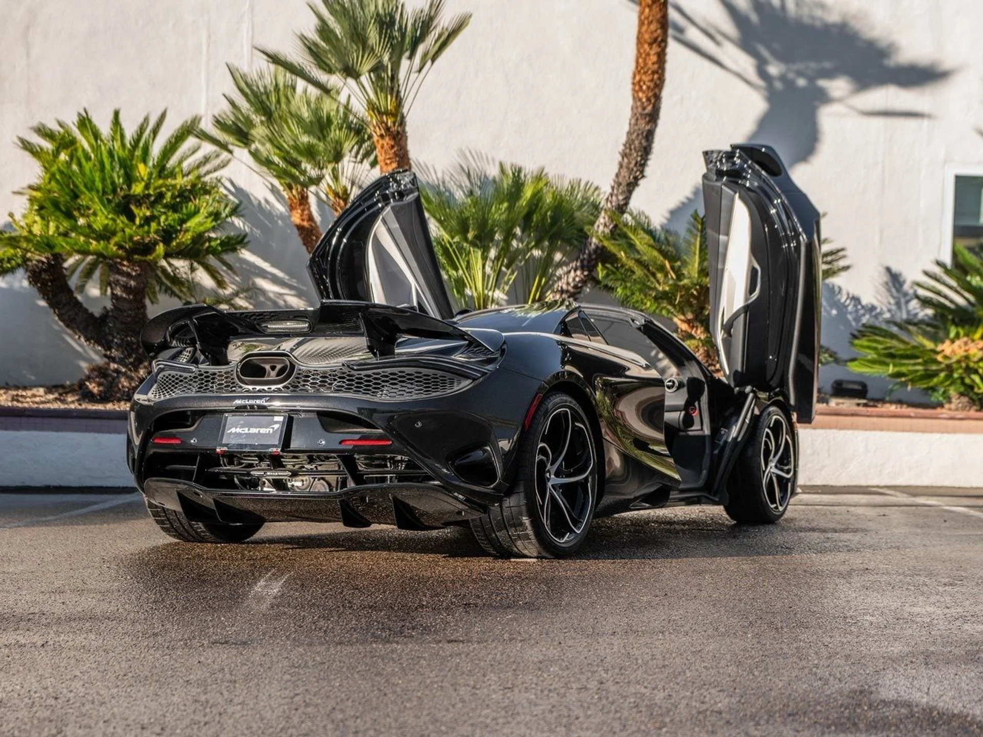 mph034_2963399939_c9aa38954c42a4e21812f8cd01ef3360x_e3d1e426fb