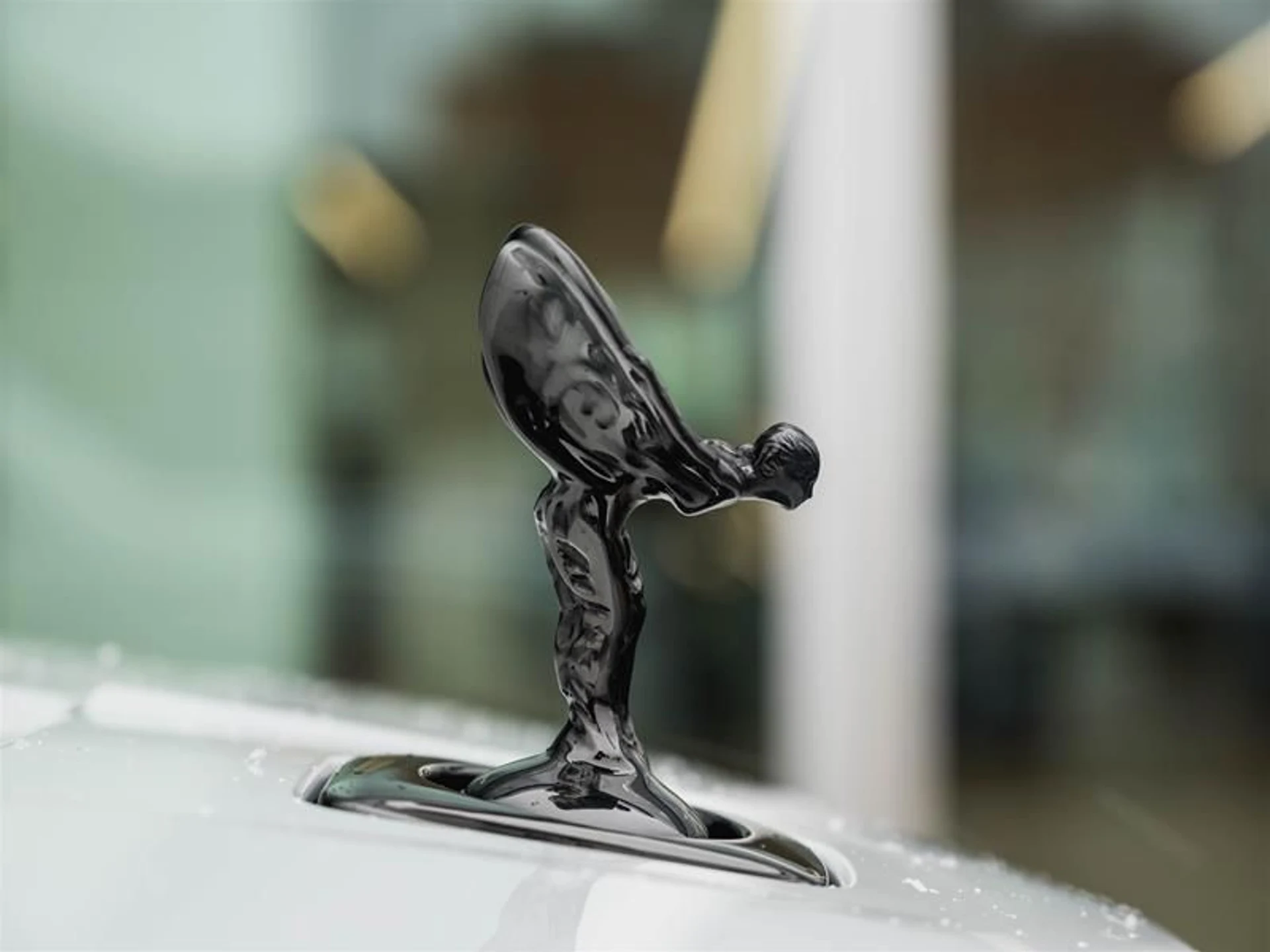 mph034_2972233344_bea0fugt_c579ad53fd