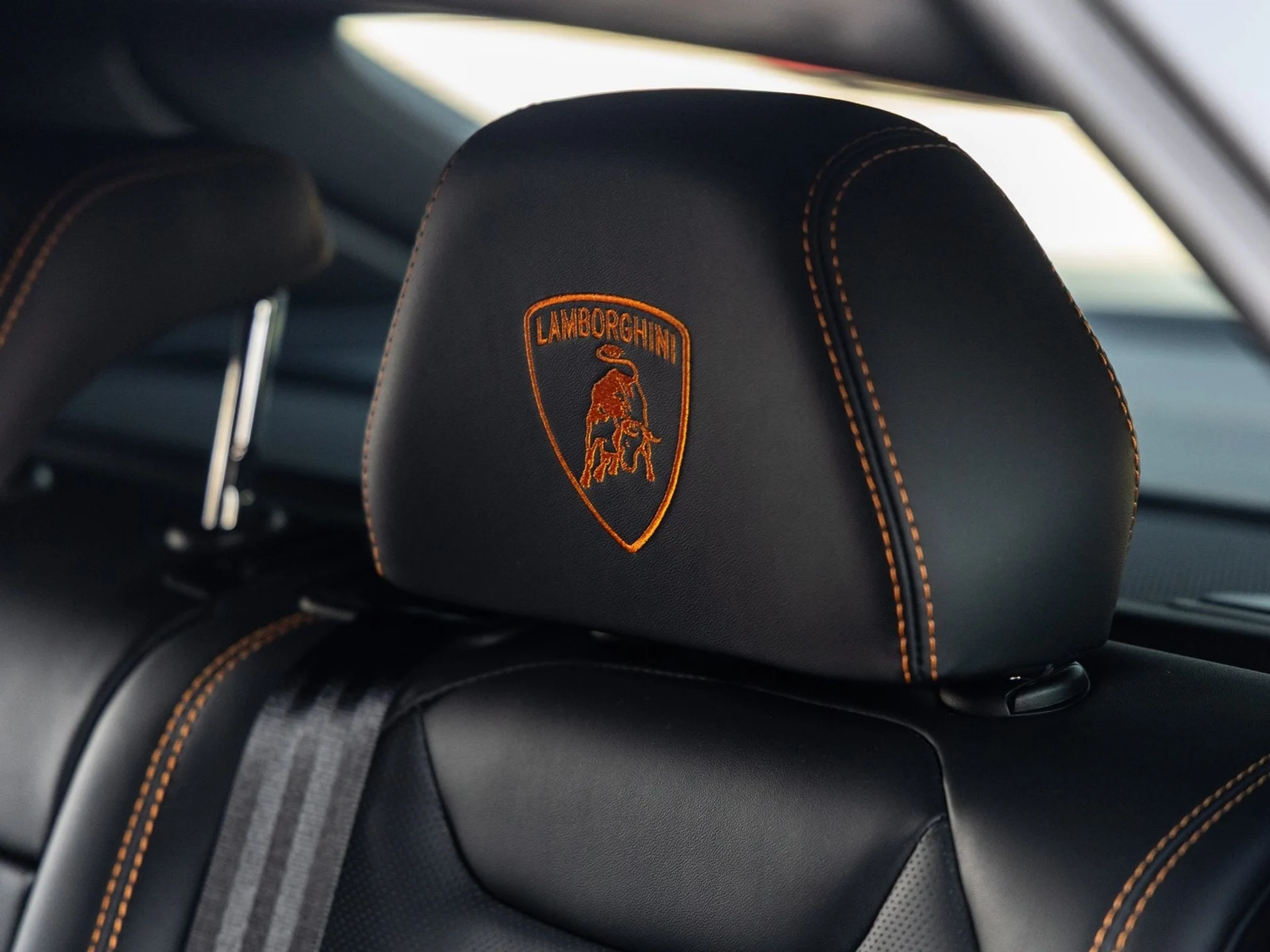 mph034_3148251576_35_2a42f8b553