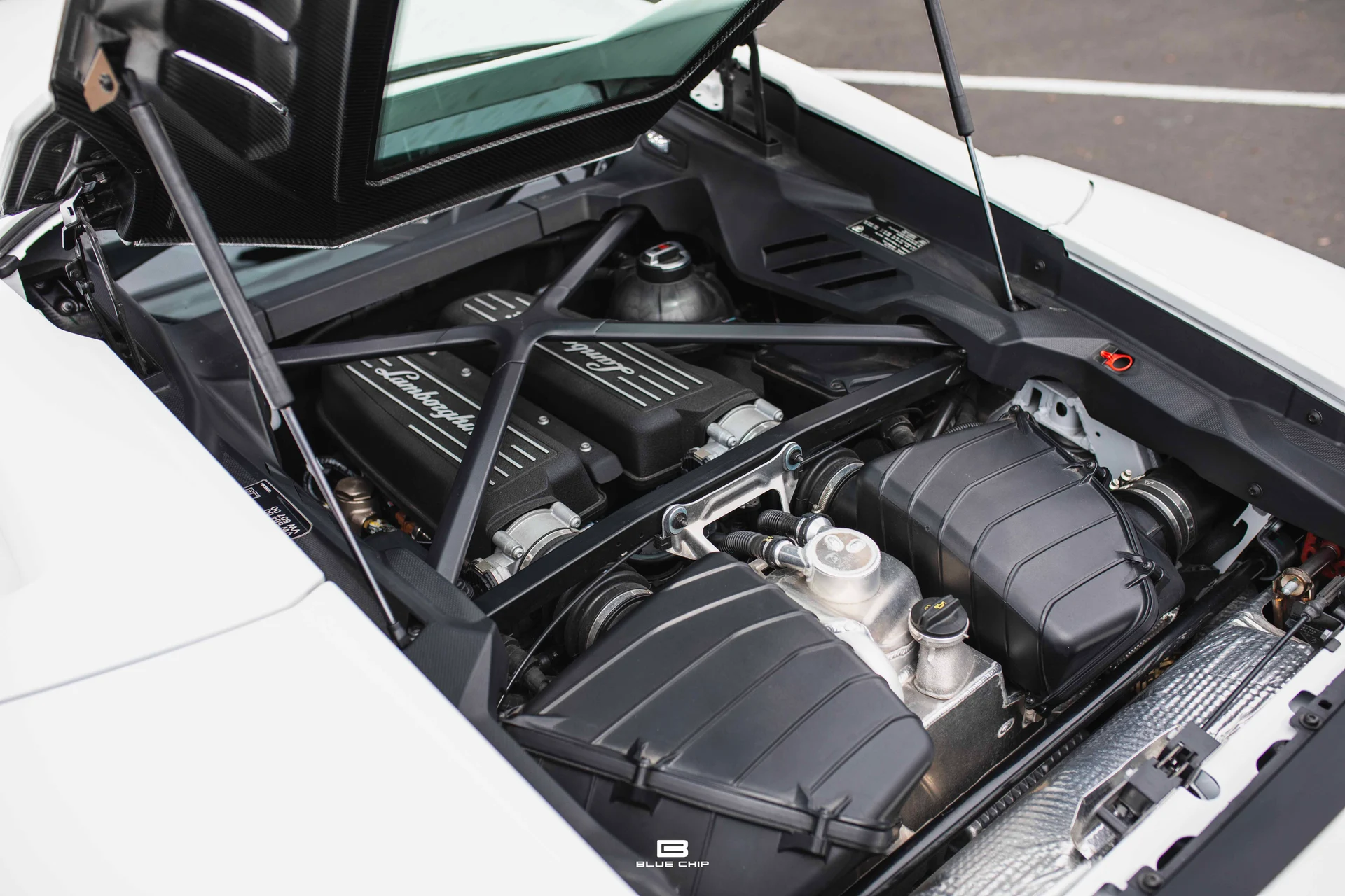 mph034_3247787182_69cefbb55dc051d7964ac3d5_93_A2961_ce3fe8e99a