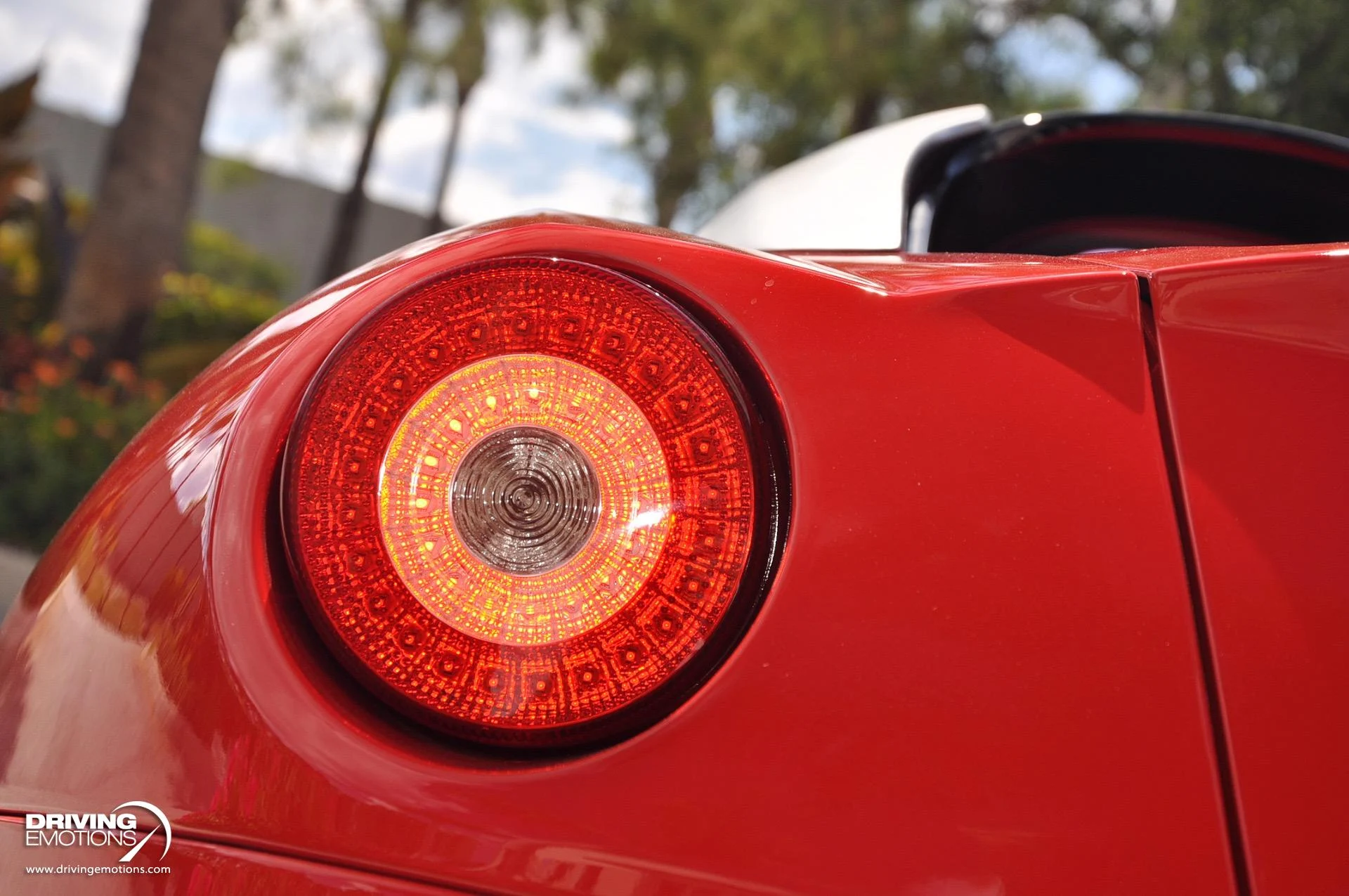 mph034_3370894884_438_p35_l_8753763c64