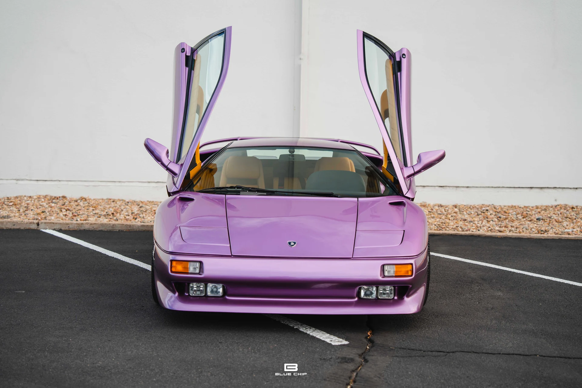 mph034_3406101470_68965dd651aef9c3de2a1b98_DSC_02052_ac7b4e7be4