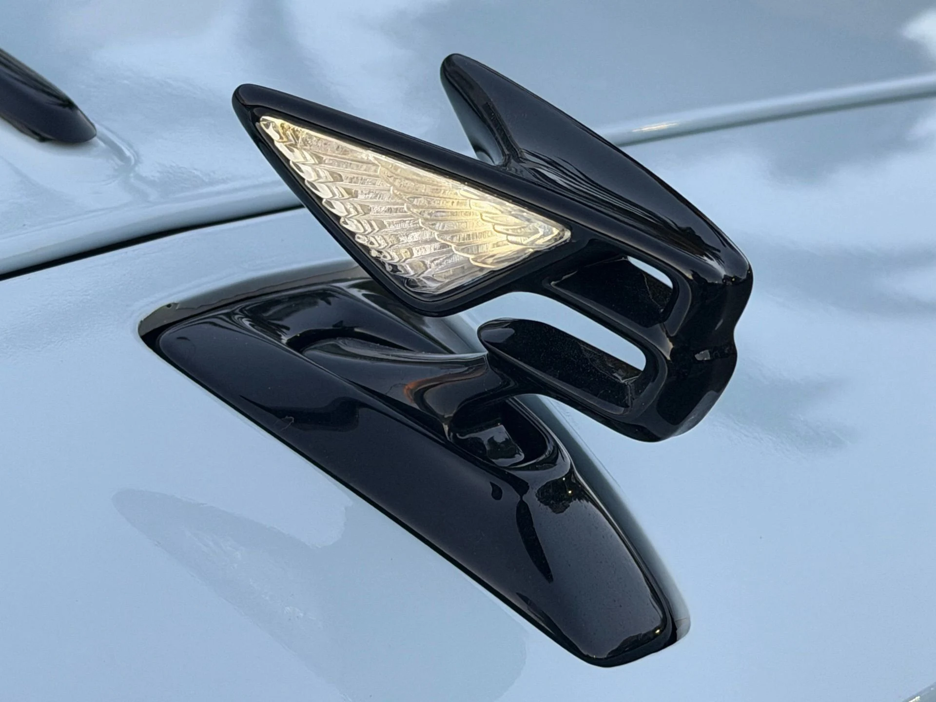 mph034_3432949726_eccc34b074804519afc2cbd88e7b6cff_99da3ceea4