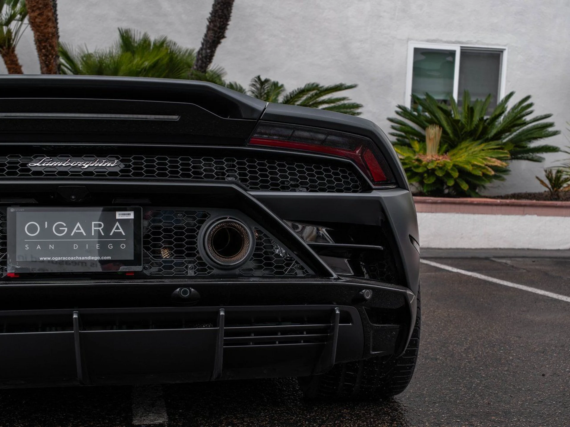 mph034_3493094496_0ea0d94ad61f8d2d1ae7e8c7af8afb1bx_5c75bab630