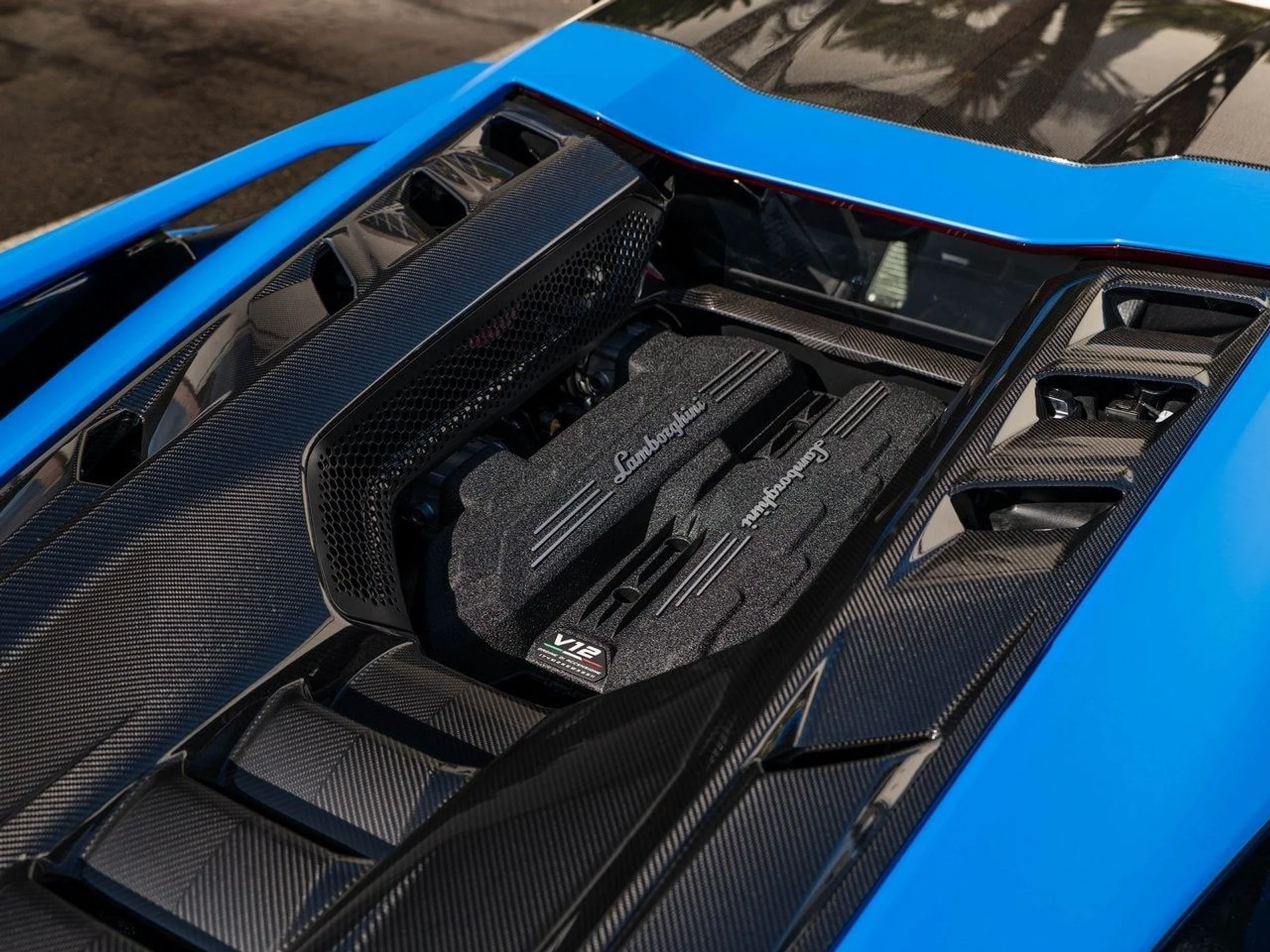 mph034_3797836375_7a85d75e6ee33edaece30ea38316c7d3x_6bc8a442aa