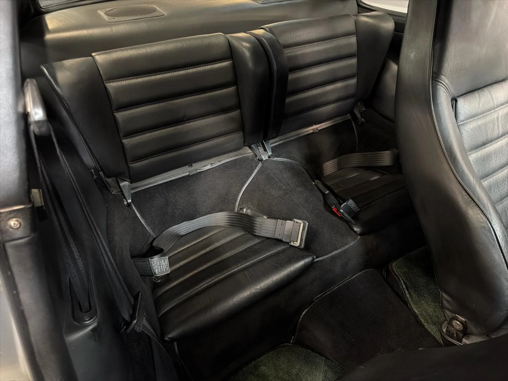 mph034_3948085146_639016616955168257_0573e3994d