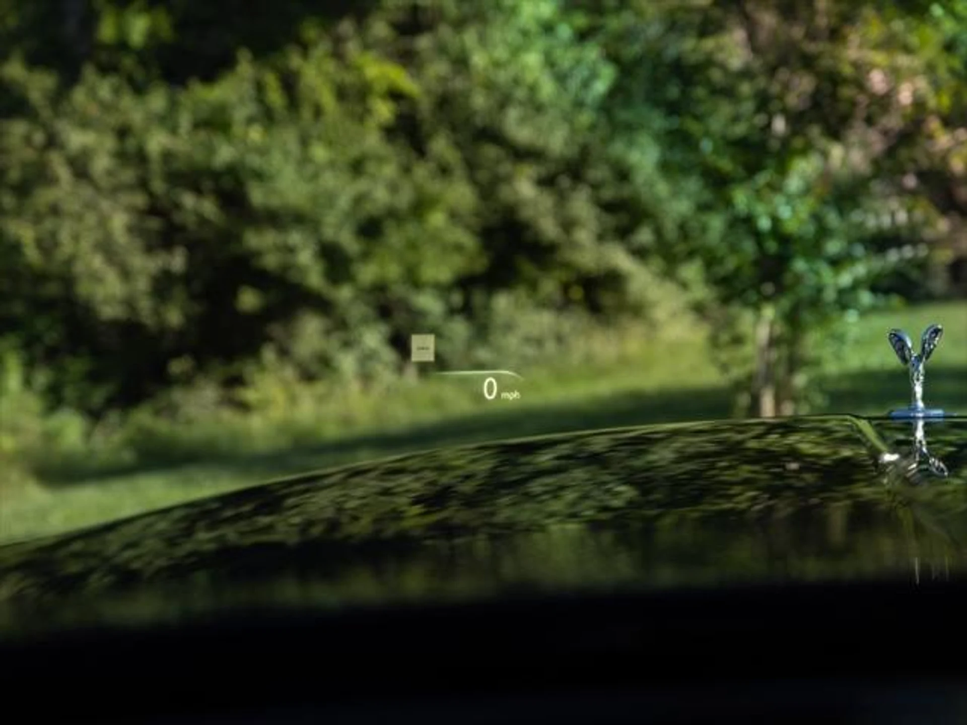 mph034_3974252366_342960235_6673c0267c1dc78c17071b6b_ce4ae0e175