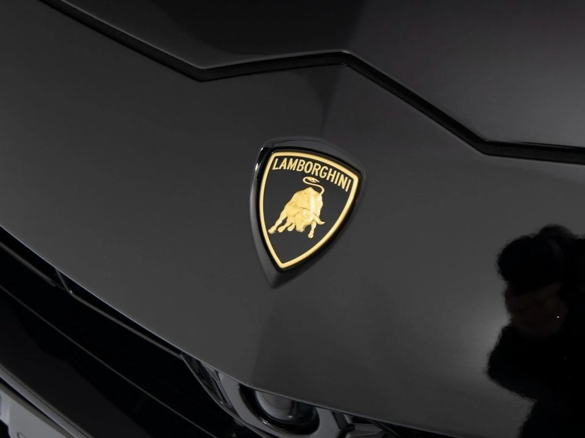 mph034_4169554289_d1490678de95e7f9f7b9325b0a467cf4x_a38c6871a7