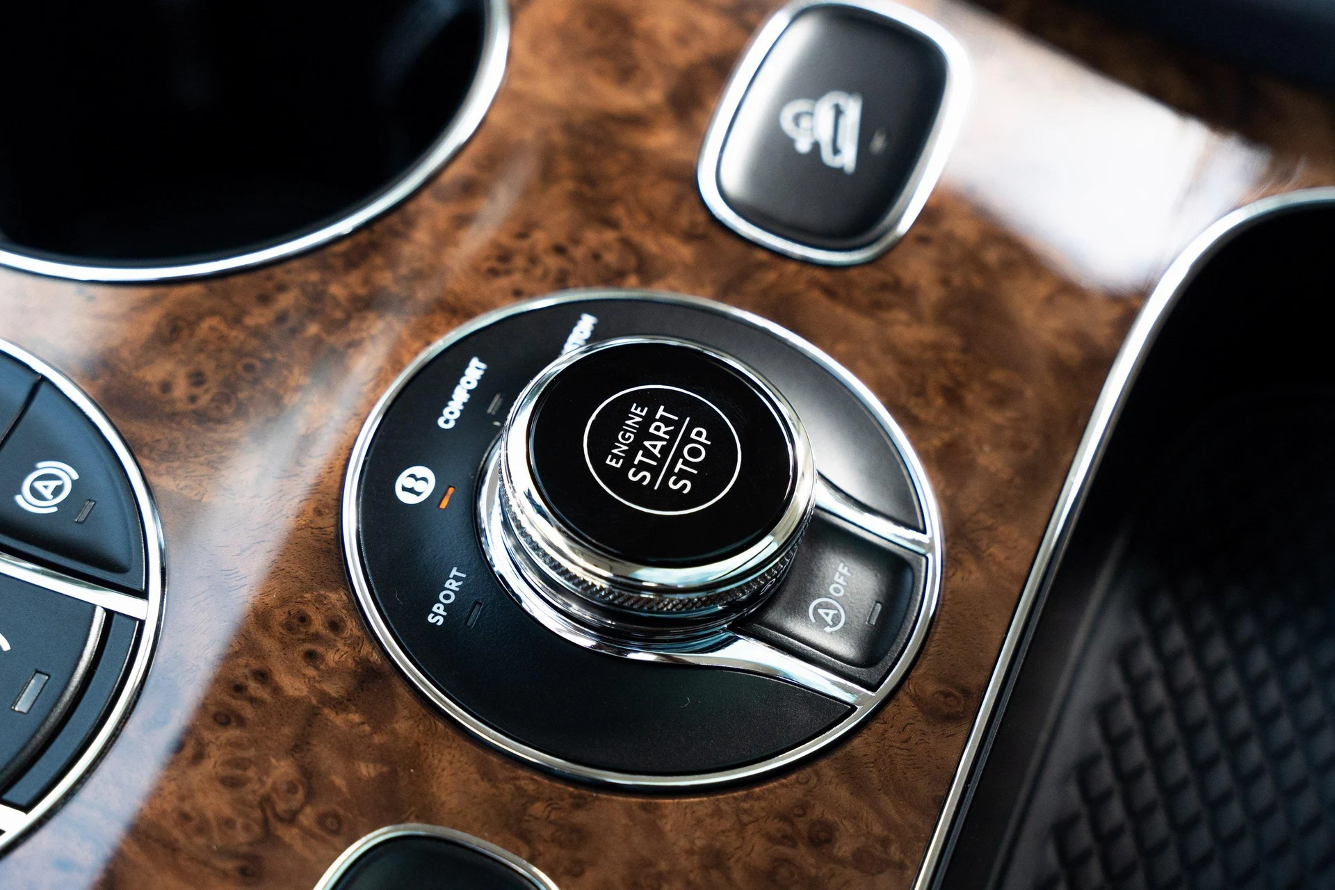 mph034_4288065491_389622358_677365532b7a94b33fd41a65_14170645dd