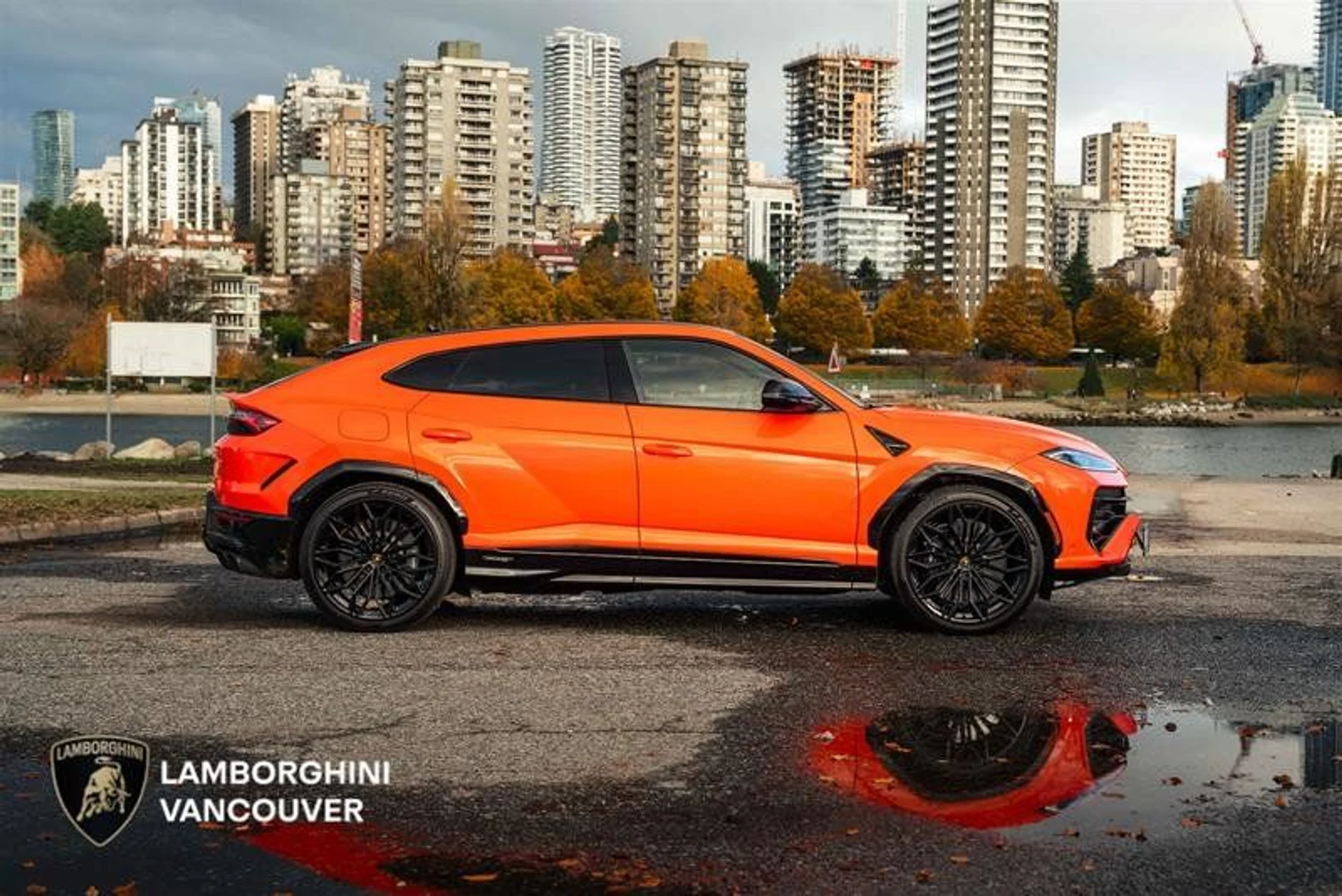 mph034_837203234_37381056_06198_g3zkemqv_a21bd70519