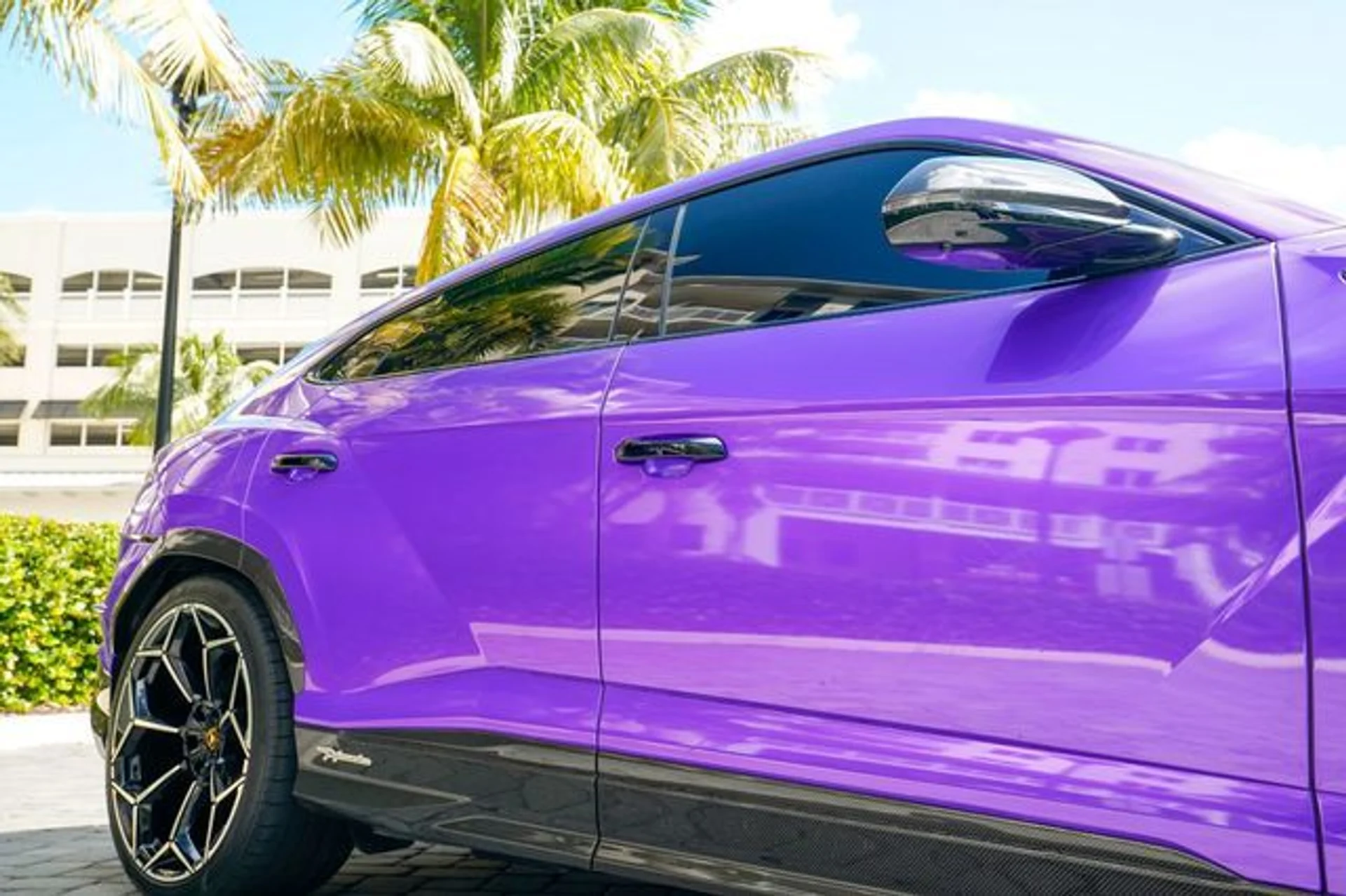 mph035_1060603144_22938820_36_55bedf387a