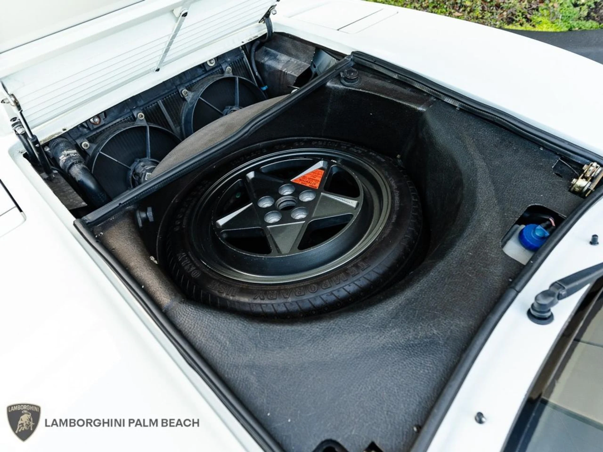 mph035_1191527616_b44cc3fad223f4db85aed42bcbbb28f8_96e55fcf68