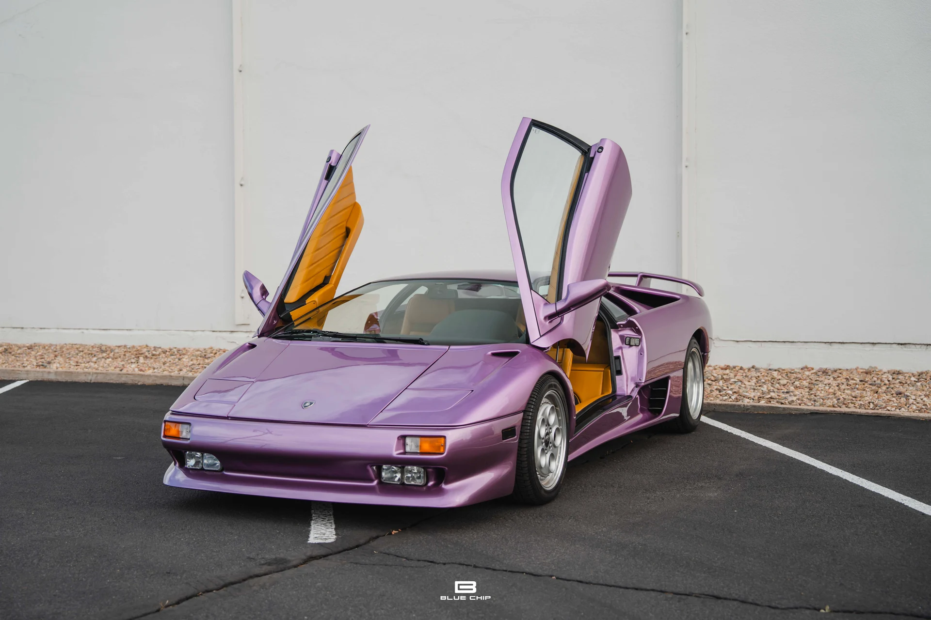 mph035_1246481907_68965dd89d57d29a26228de2_DSC_02056_907dbddc49