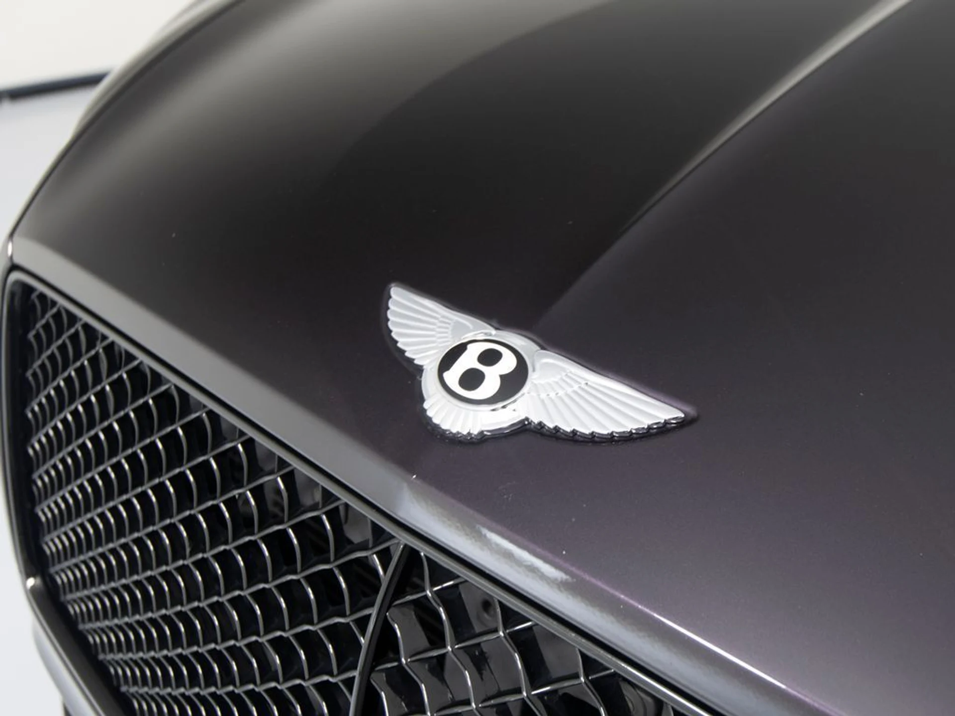 mph035_1418485589_6b21d854ba5321a6e194039a59bb79ccx_aead16815d