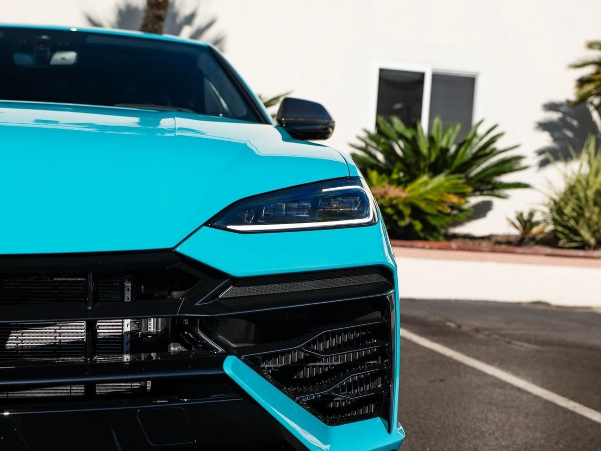 mph035_1529526166_4b127081181244e4b0d00a779f56ebb9x_8c680a8dfa