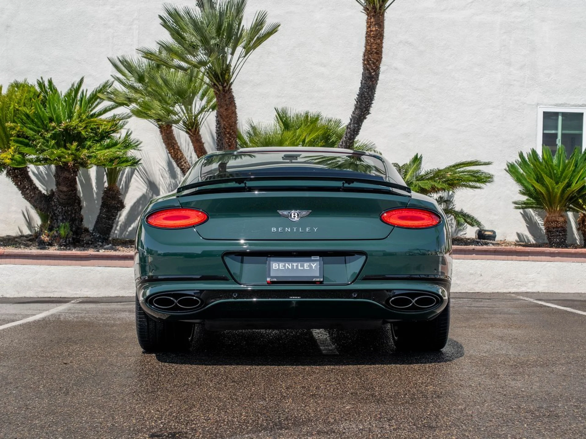 mph035_177921084_db155e2a00870a4596a7692ea71684b0x_78be594534