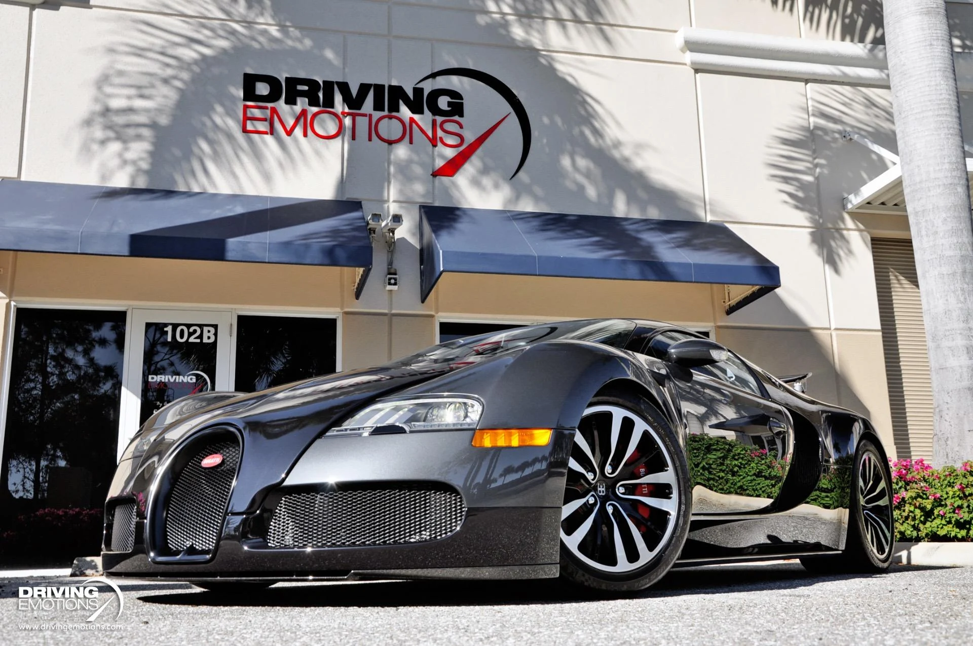 mph035_1786873153_479_p36_l_bc0d3e7b90