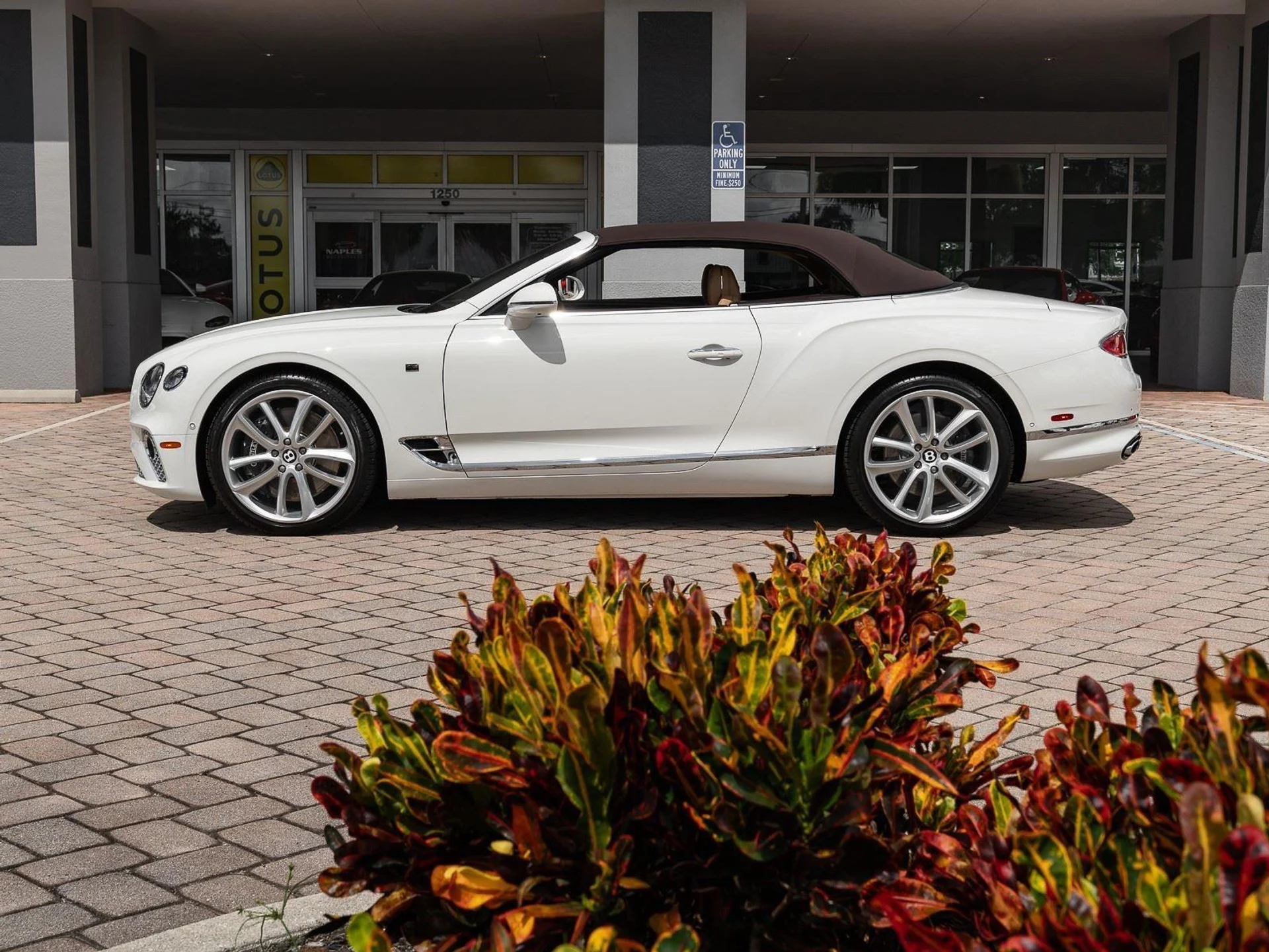 mph035_2019084911_Used_2020_Bentley_Continental_GT_V8_1773864447_f9f19b8400