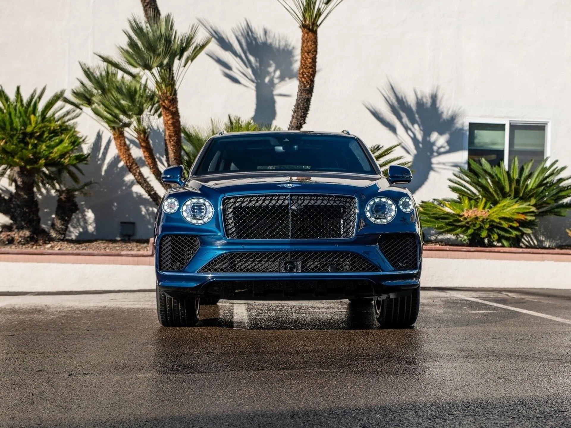 mph035_2026035171_c92acd0b4c522ed7e3ce5c66b1a45b06x_af9fac721a