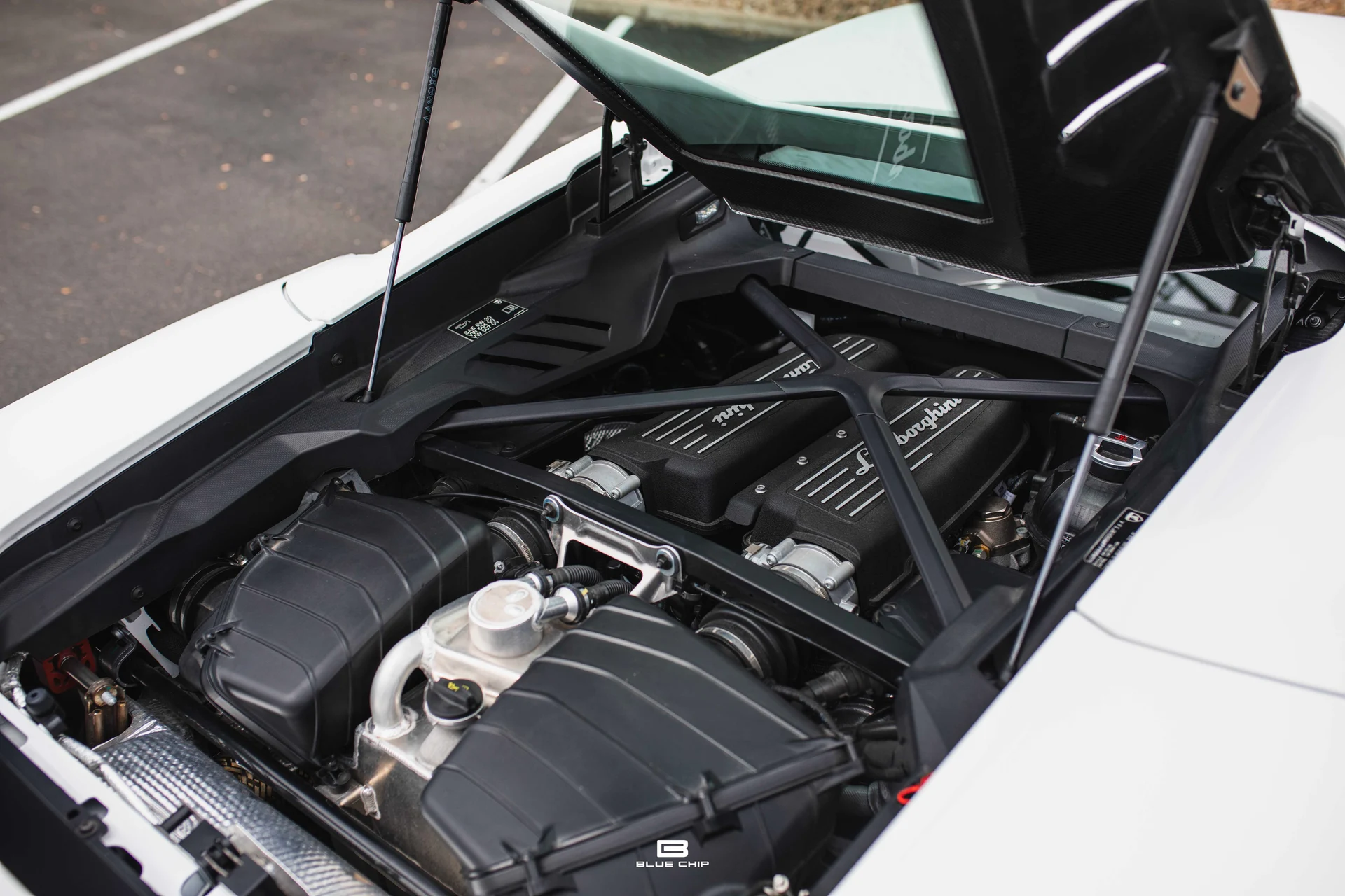 mph035_2184191698_69cefbb62f8370bd35dcc87d_93_A2962_c9e9a2f4b5