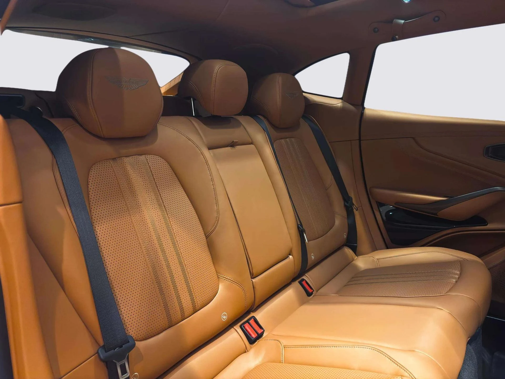 mph035_2220272935_b3e27f4c_a17d_447d_9cb5_afee79ee3fe1_18f4d2f601