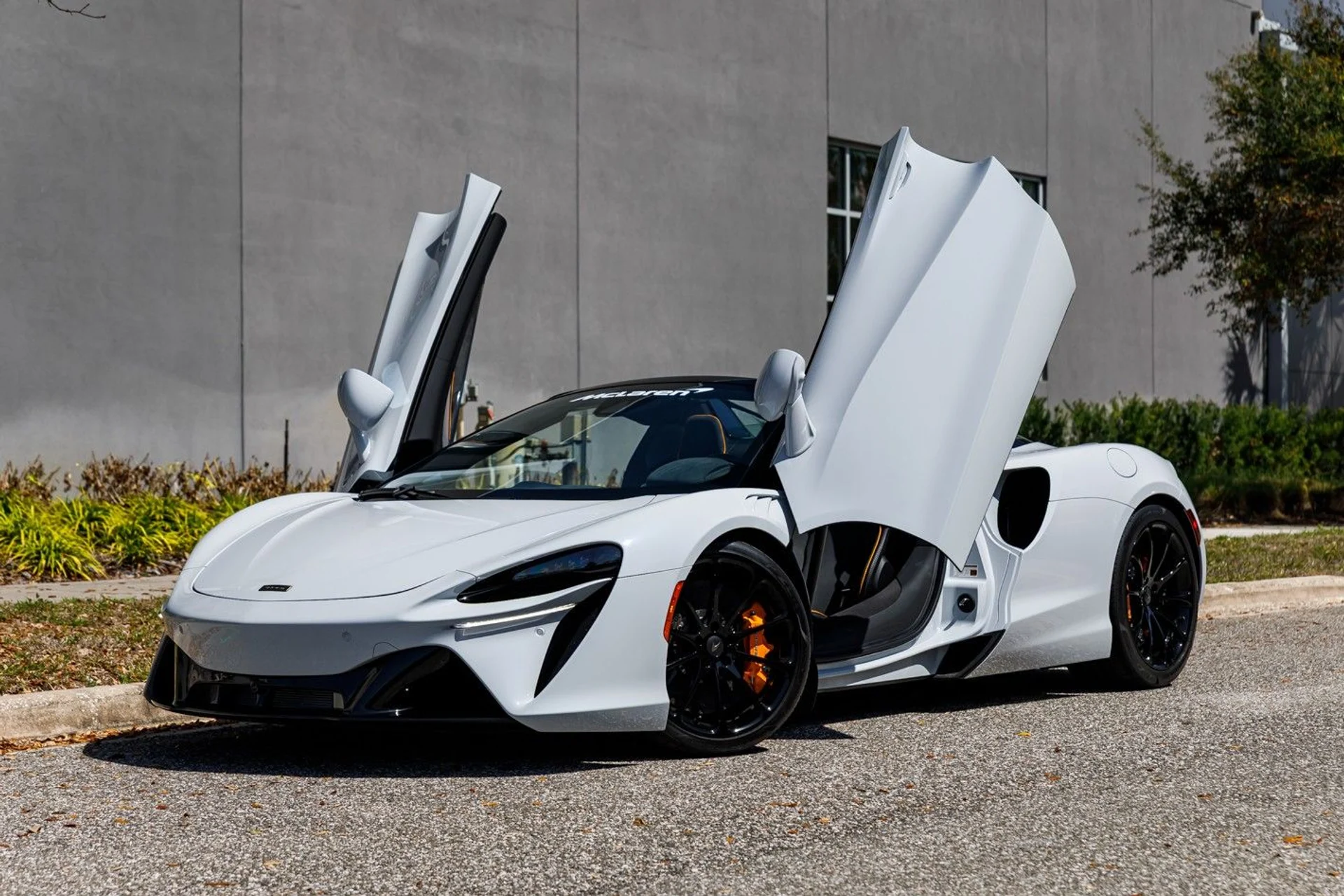 mph035_2872842178_473_p36_l_8f37db0e83