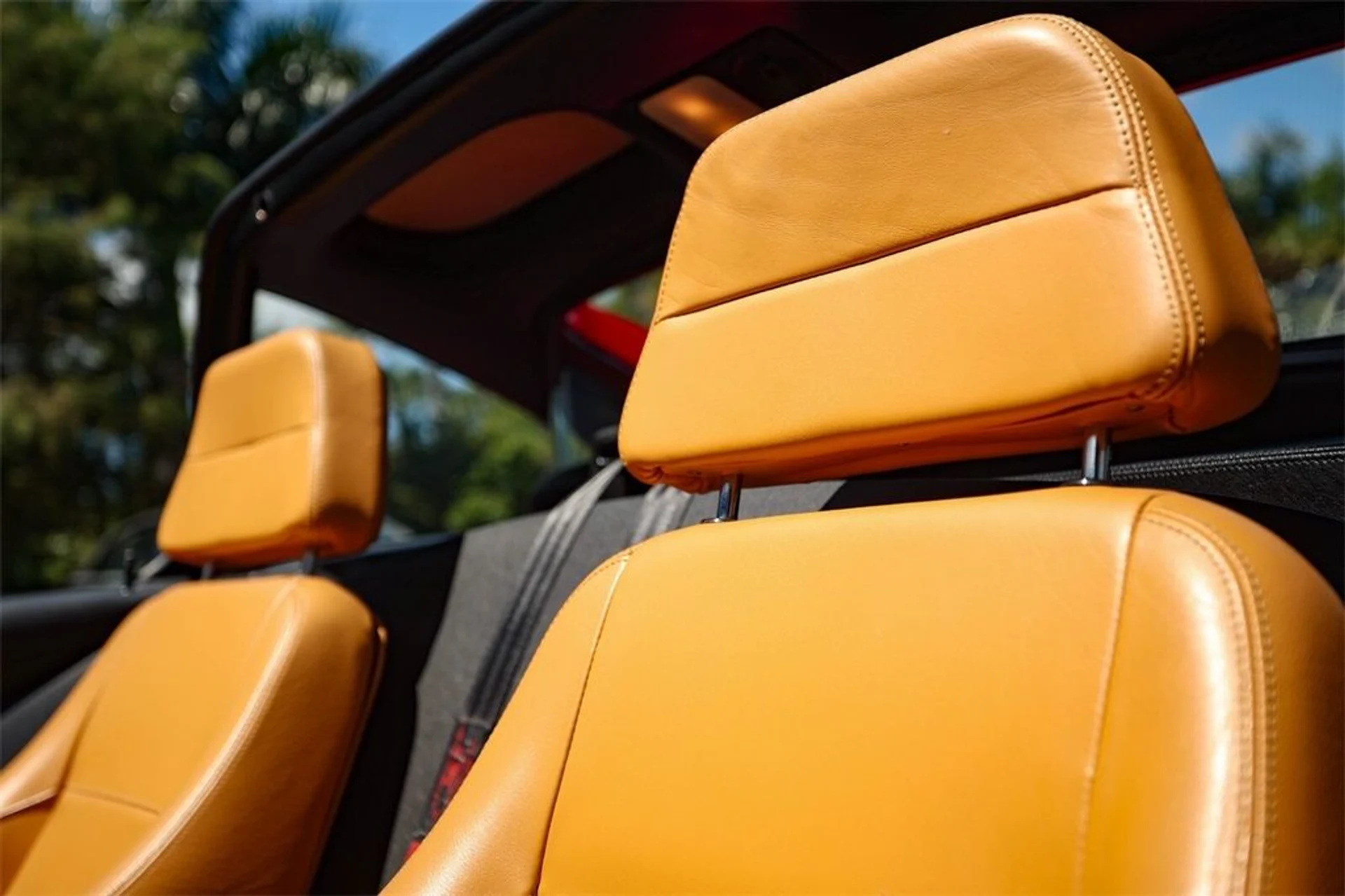 mph035_2923392693_c3116f33a5187fc7ce7b9141f967dcc6_e3909cc4b1