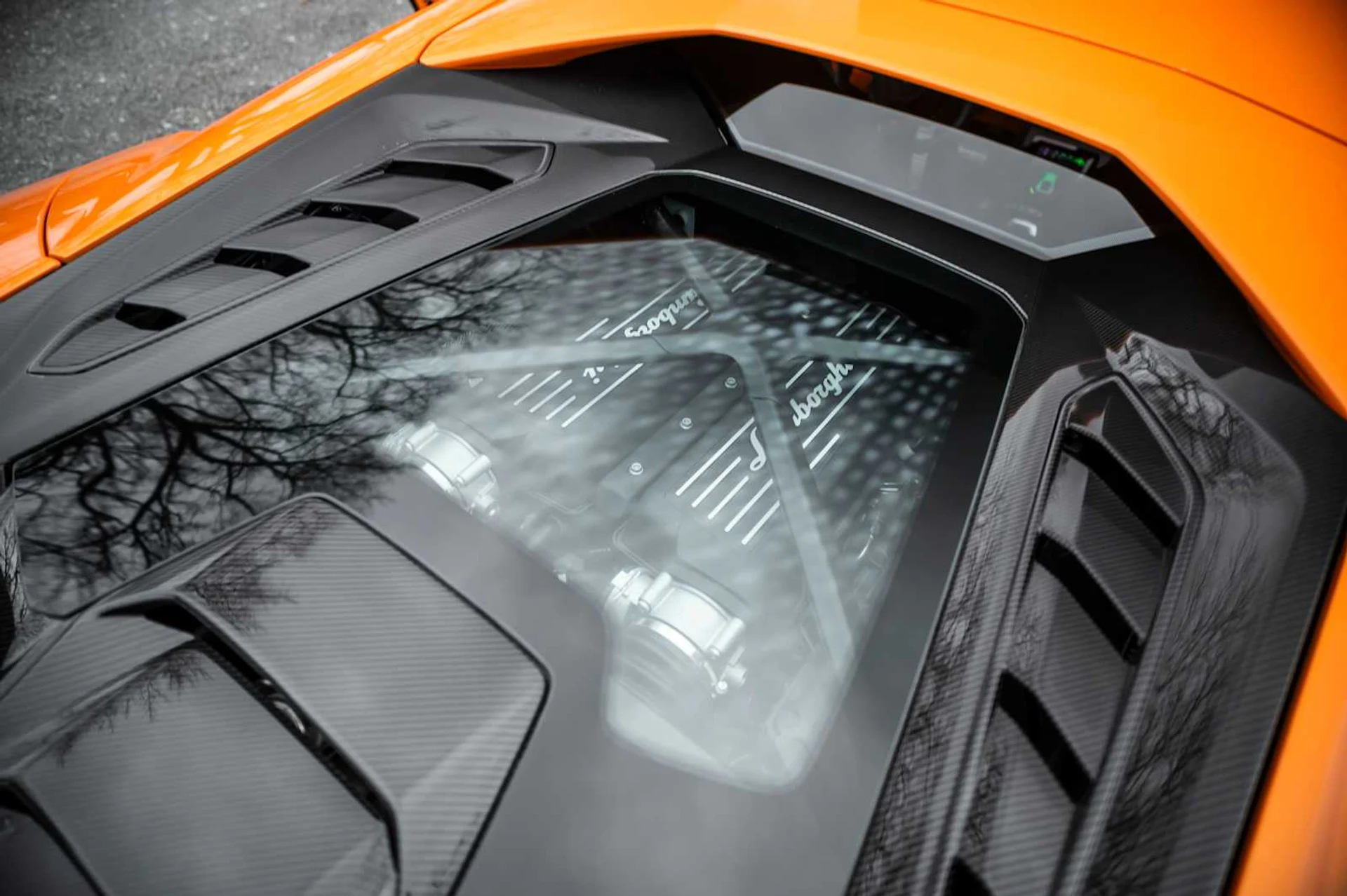 mph035_2956045939_a4f40c4b28f0c8645e8e201abca1dfe2x_3d748b1cfc