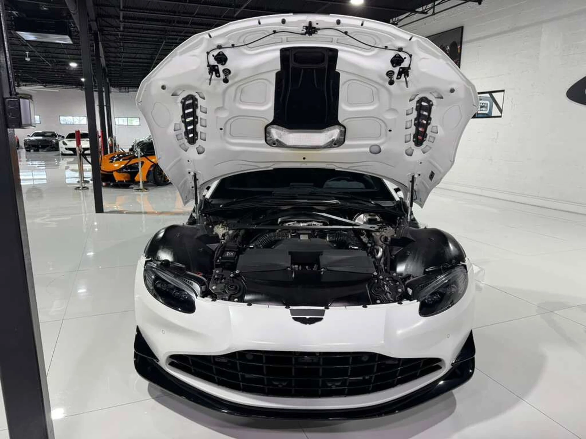 mph035_2975412037_b121f959afd9d597cd5eb7396a6c410c_3f20a9ddf8