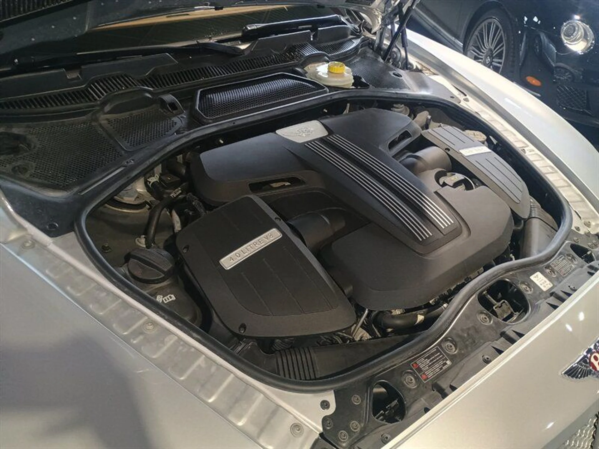 mph035_300853671_d8e937edb0_800_886278c2c0