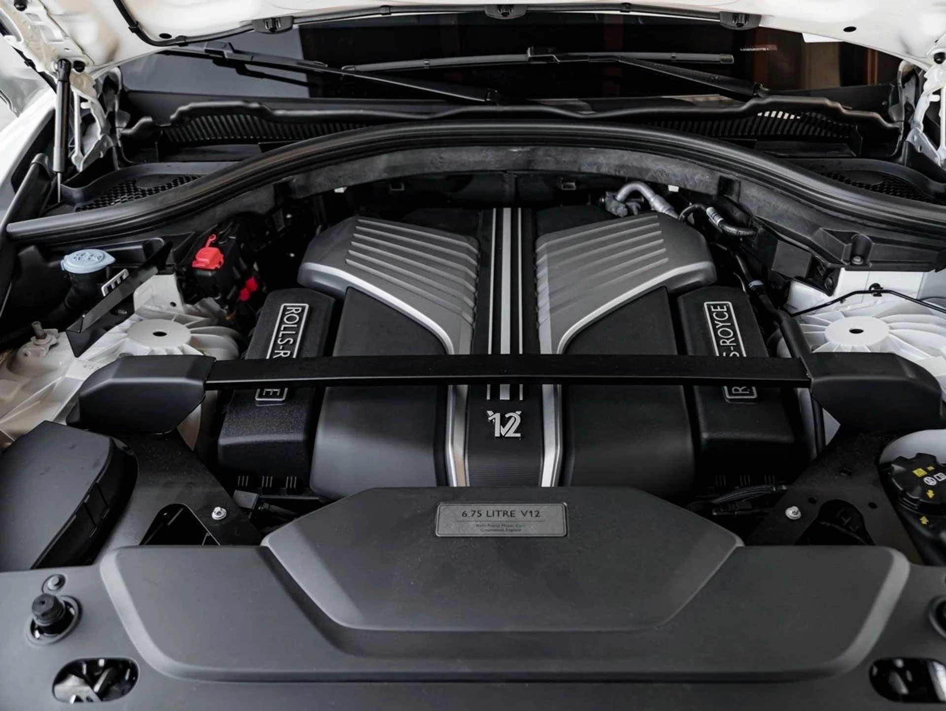 mph035_3010155028_36_9806e8646b