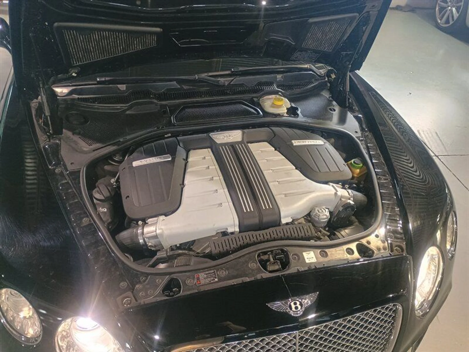 mph035_312352432_8376ce405e_800_7cada8c88d