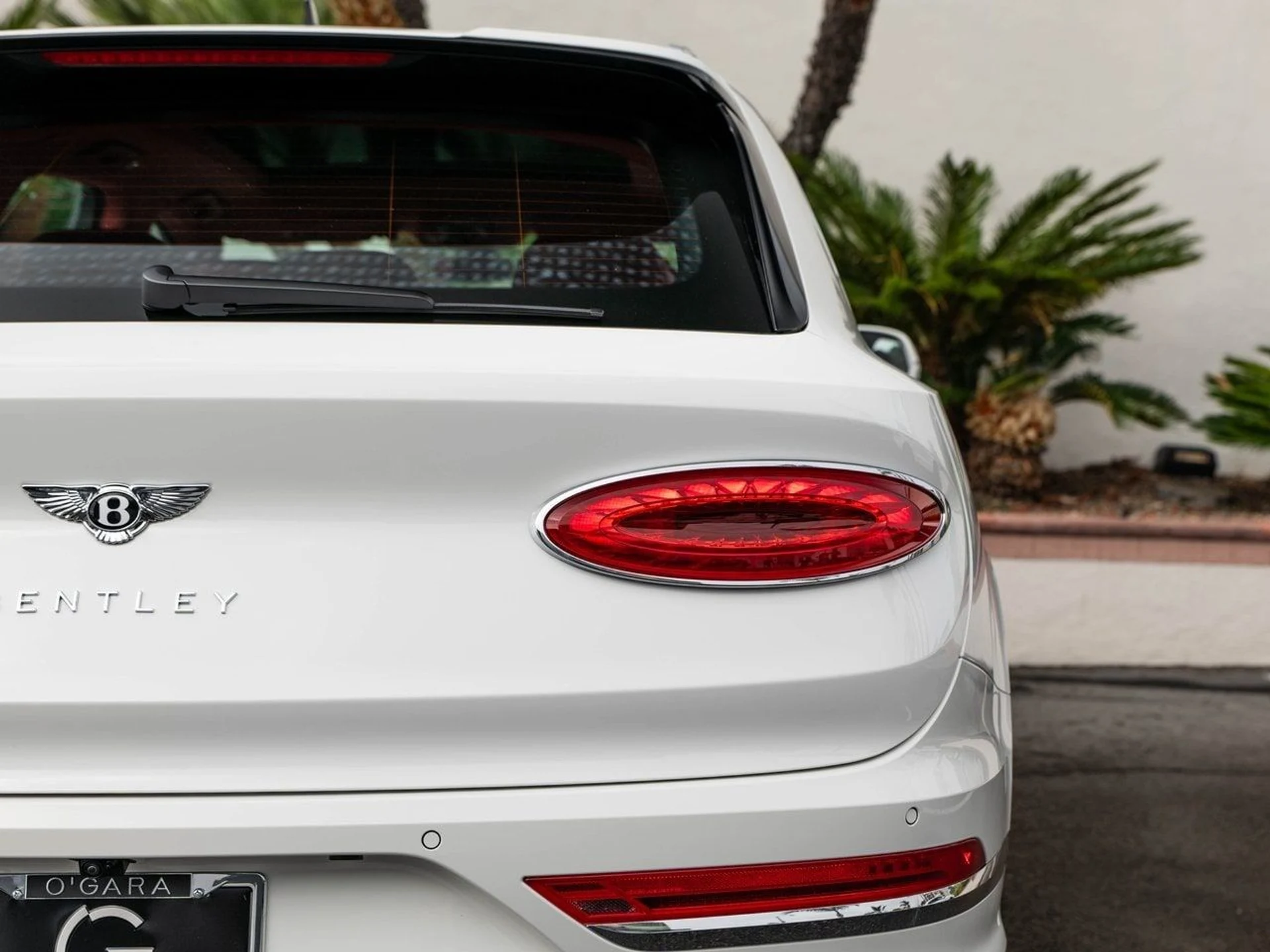 mph035_3310516894_cf8607430f71de411dff39cff24380d4x_25cf497715