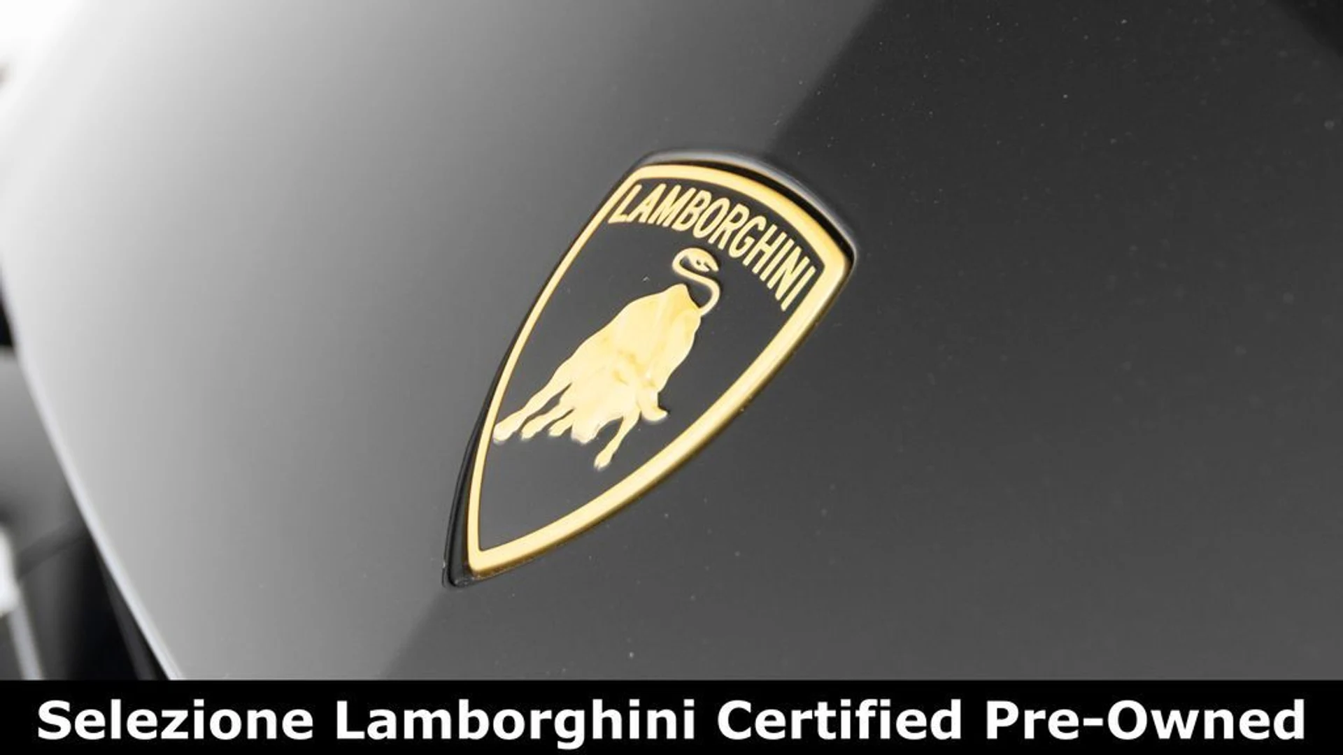 mph035_3357346151_b1a8334c61ad92ebd118c8c94a47a33bx_9b31ff3783