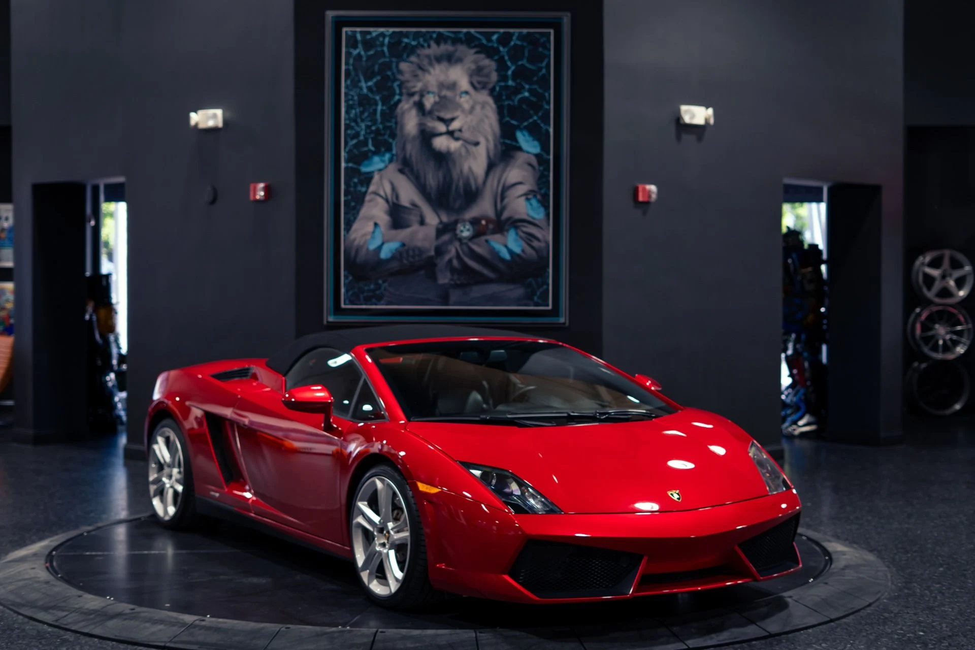 mph035_3476346460_Used_2014_Lamborghini_Gallardo_LP_550_2_Spyder_1780931536_7af751bb17