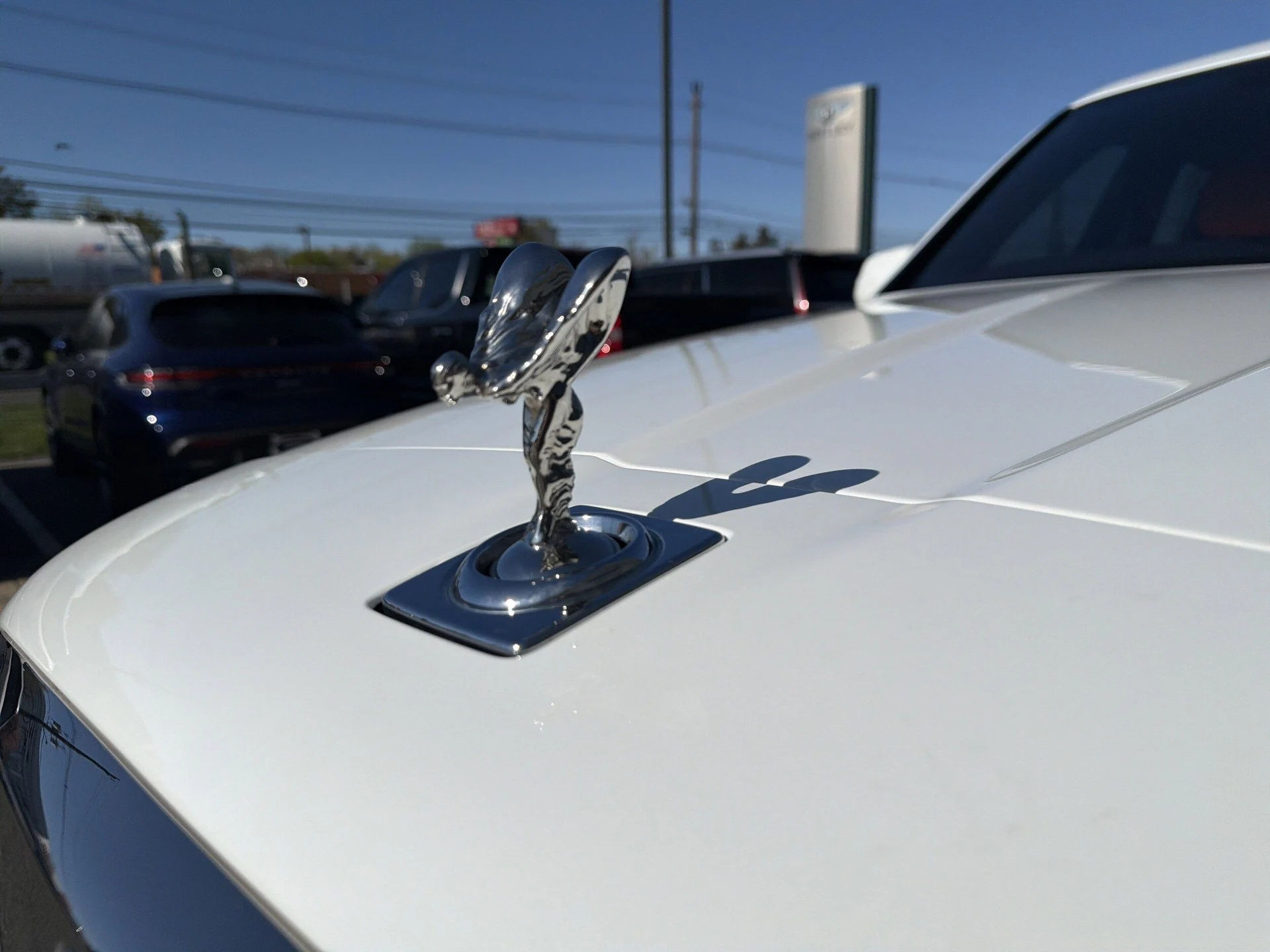 mph035_3757034646_3c125b865e5ac791eb0da006fb9e9299x_a3505c4c58