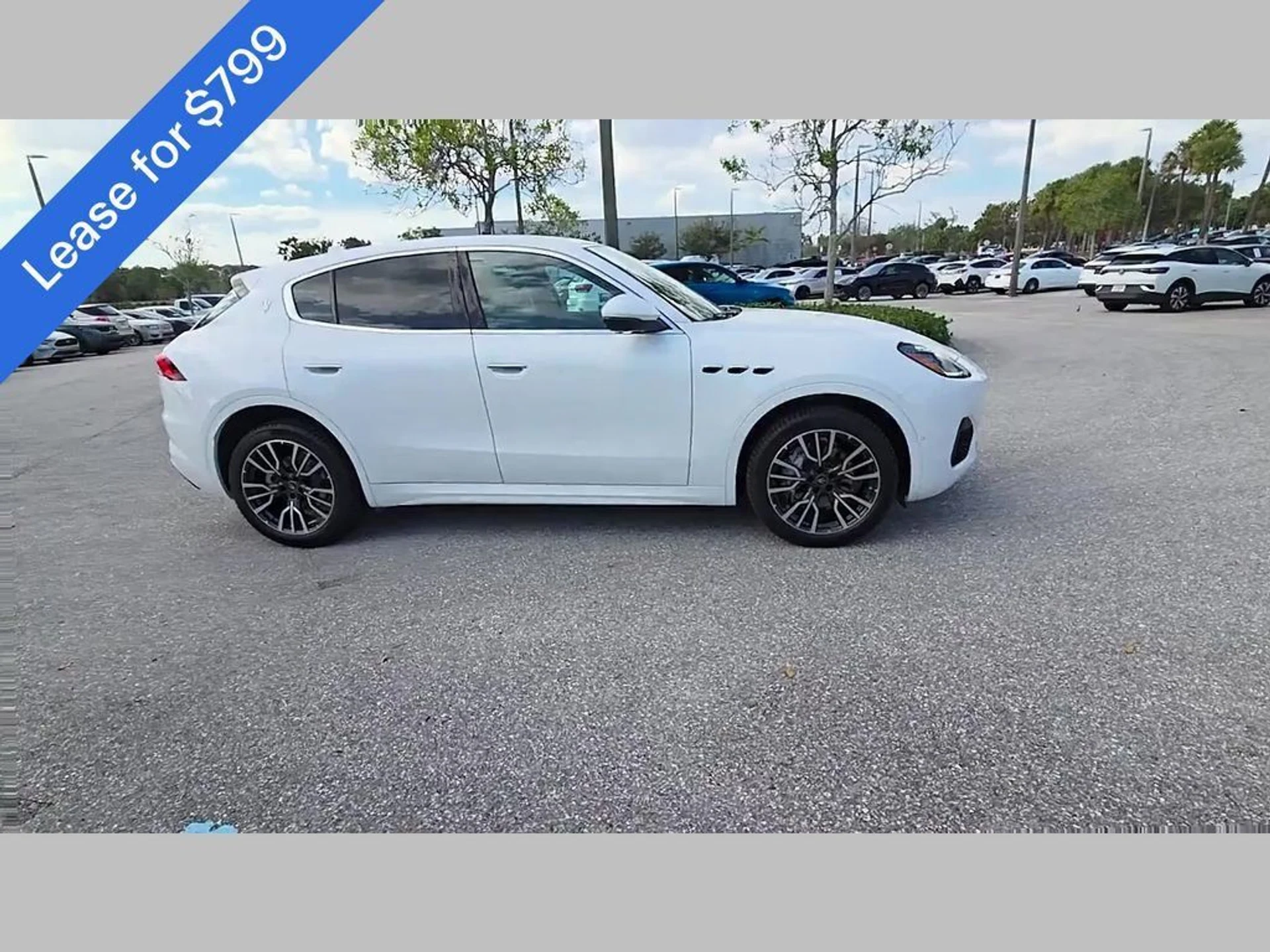 mph035_3779175464_470b30b9cda0018efabc8b96ef461c6e_8faffc3ccd