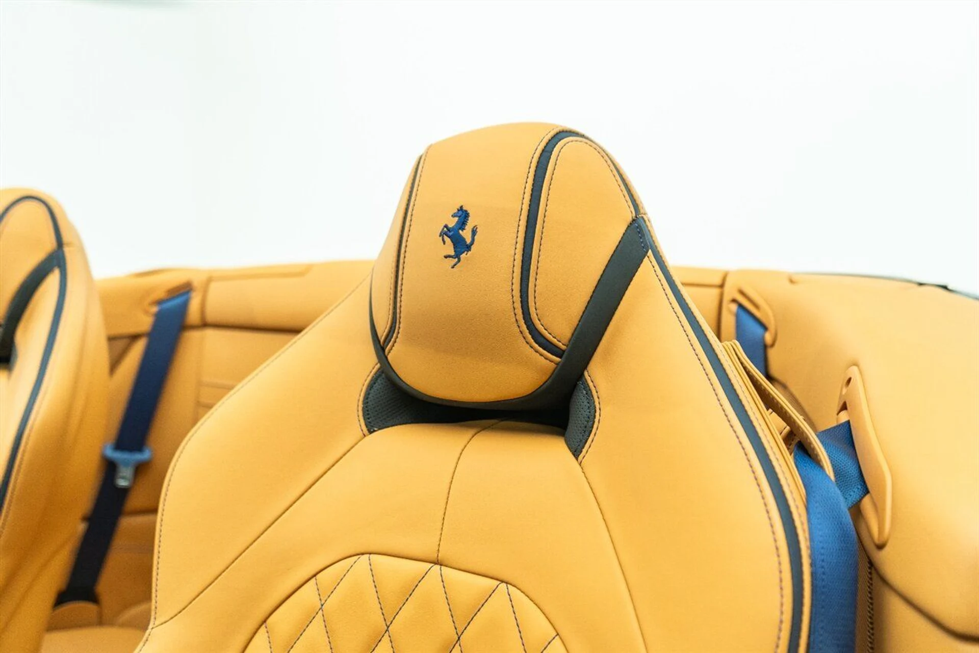 mph035_387117289_d6a18b14eb_1280_1022bab5b7