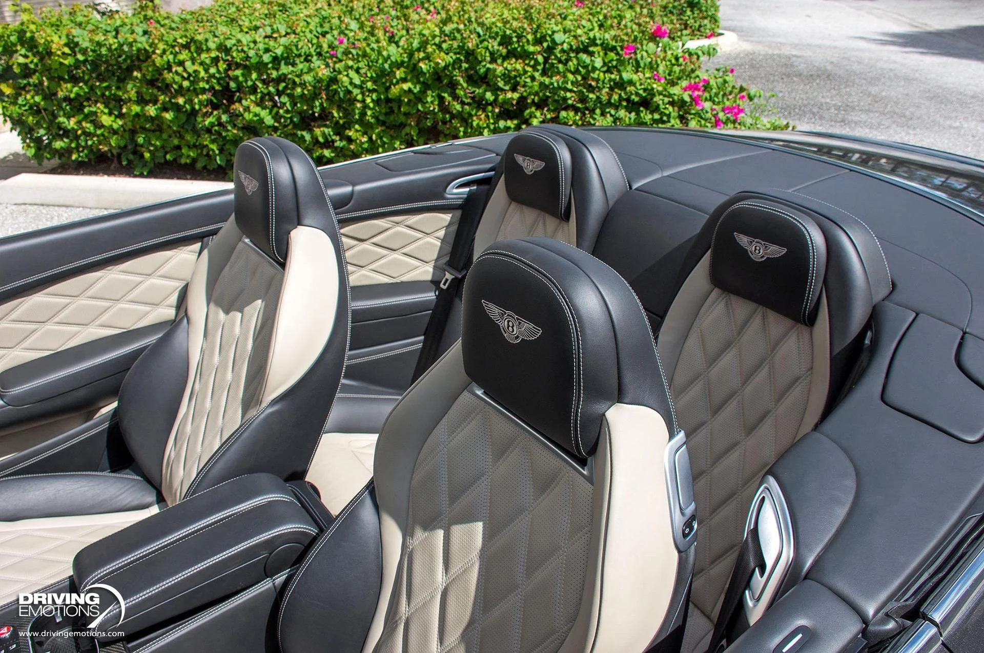 mph035_3901087612_871_p36_l_9f6b97131f