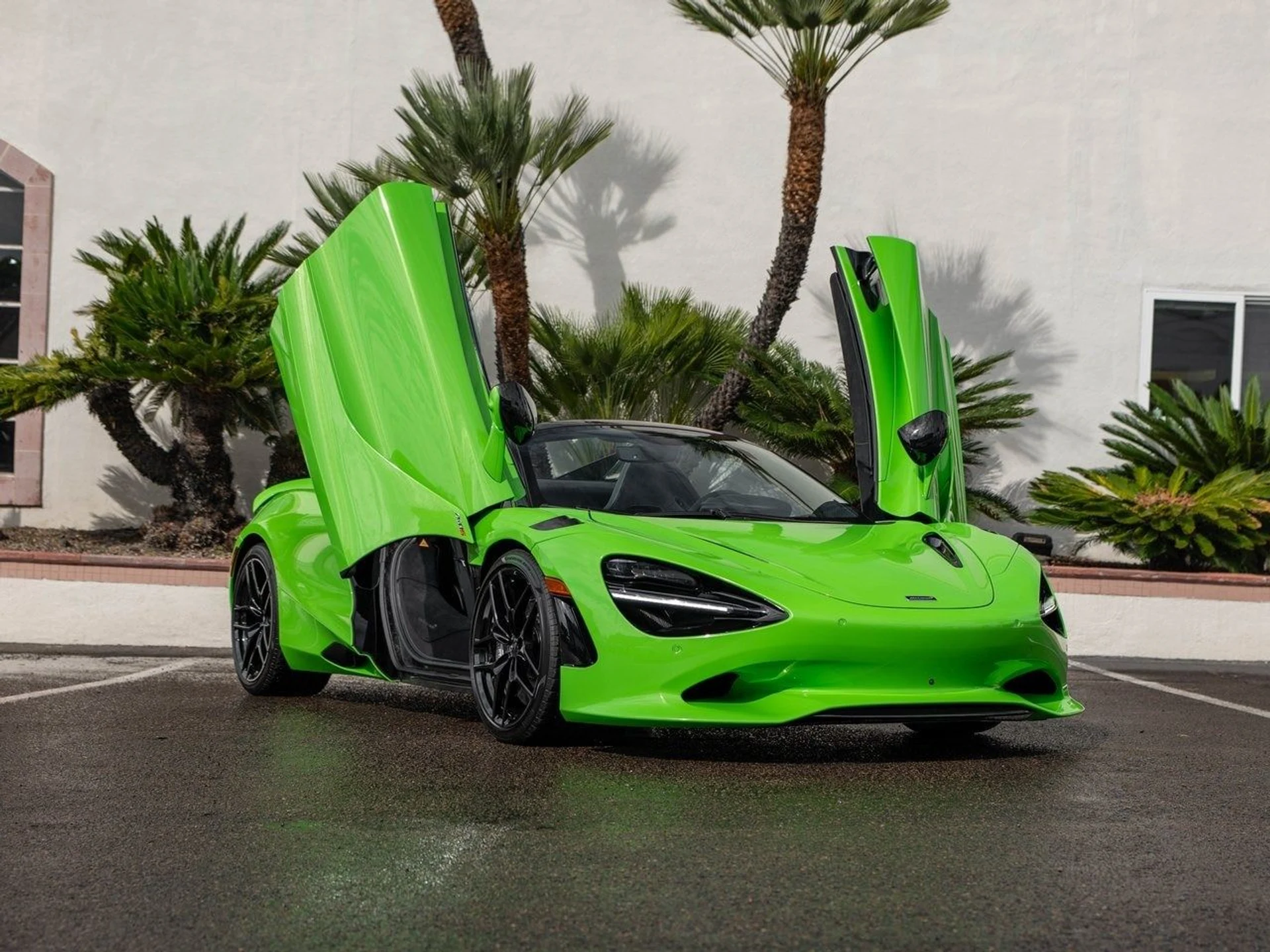 mph035_3978883236_c79327cdfa767b3116ec1d388091eebcx_ddf257eeb9