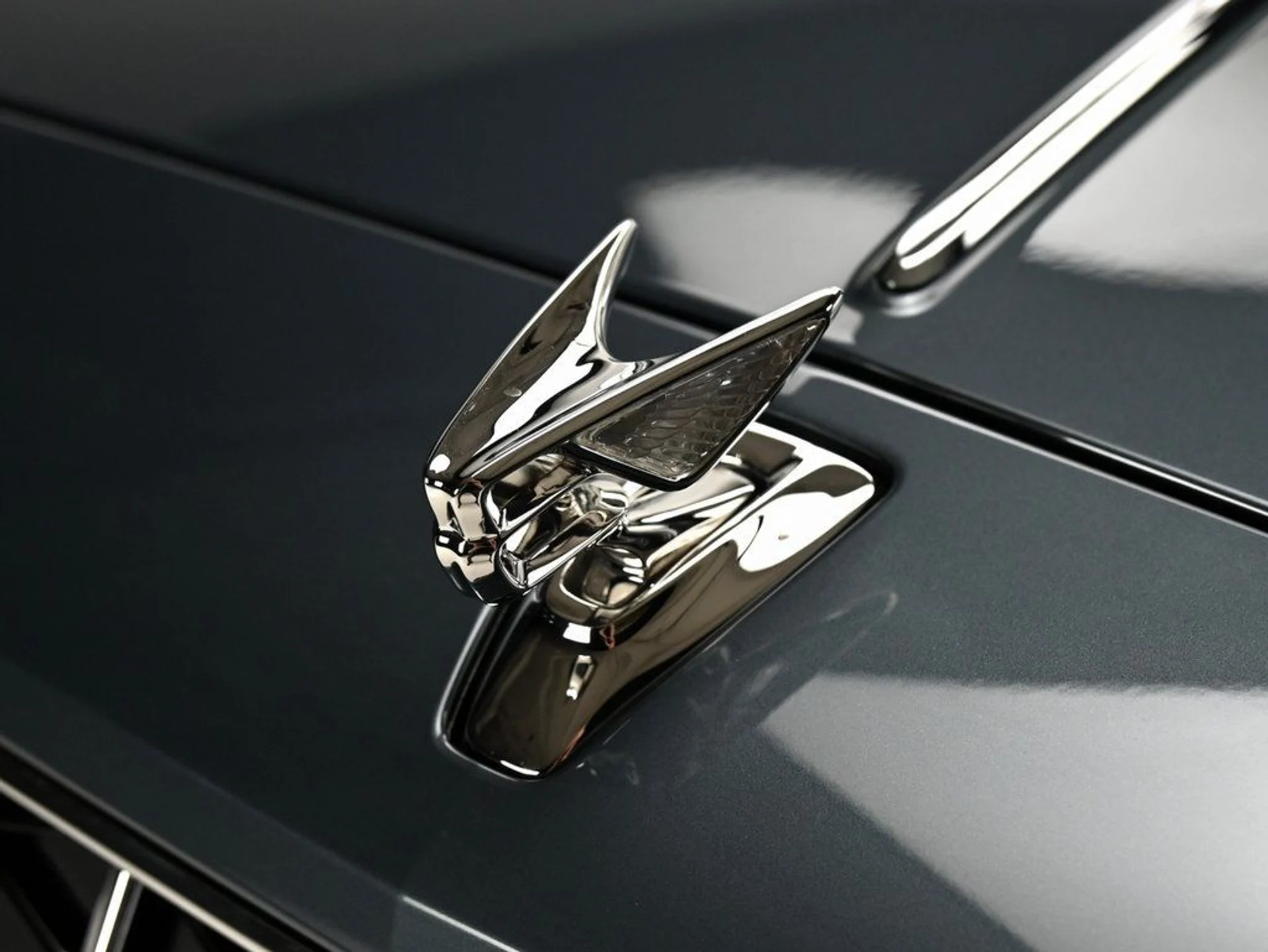 mph035_398209778_48778e21f7e34778b2049a419ff58772_1022a7b2bf