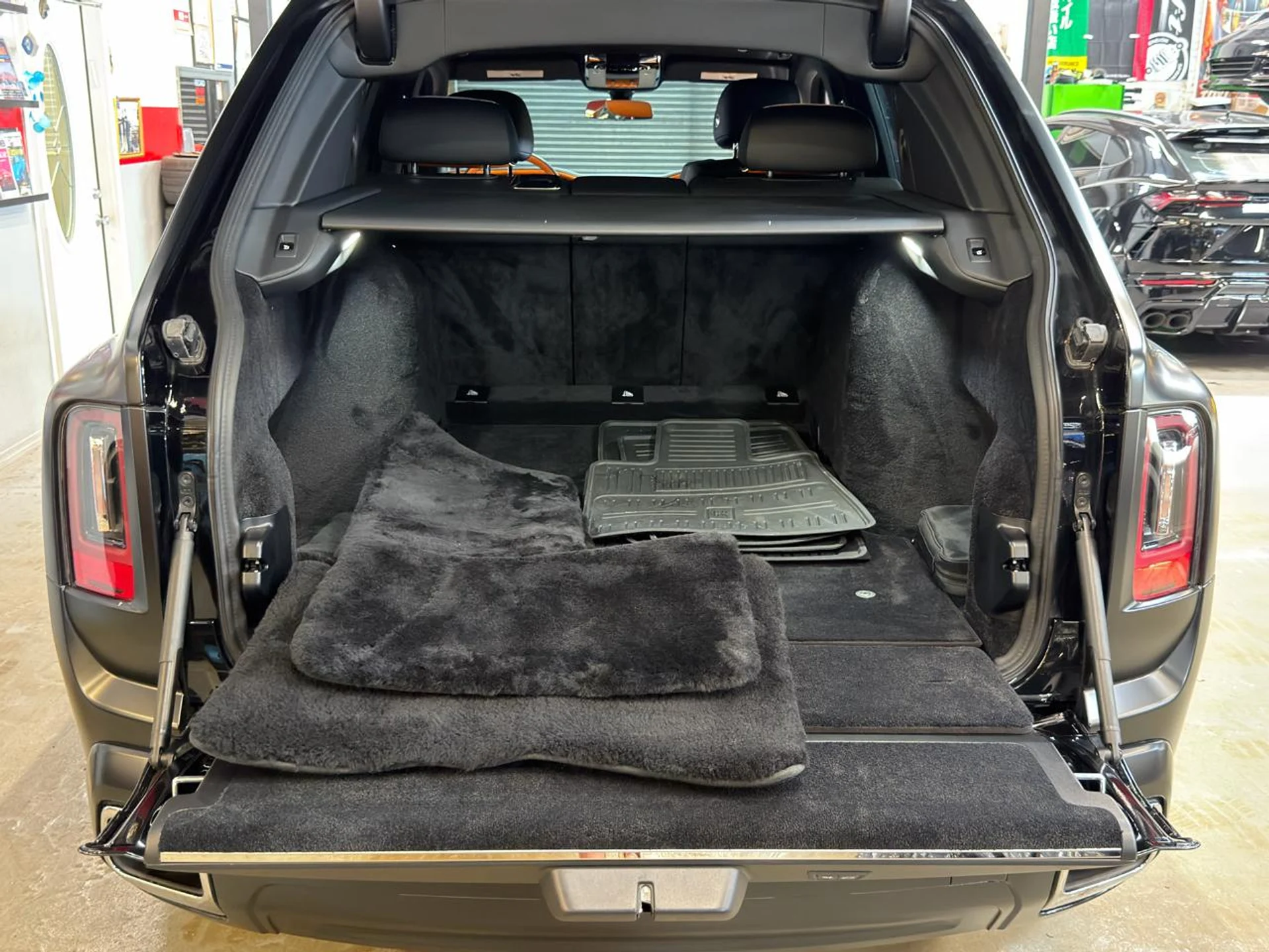 mph035_4039767366_639119432862506624_8de0754bfd