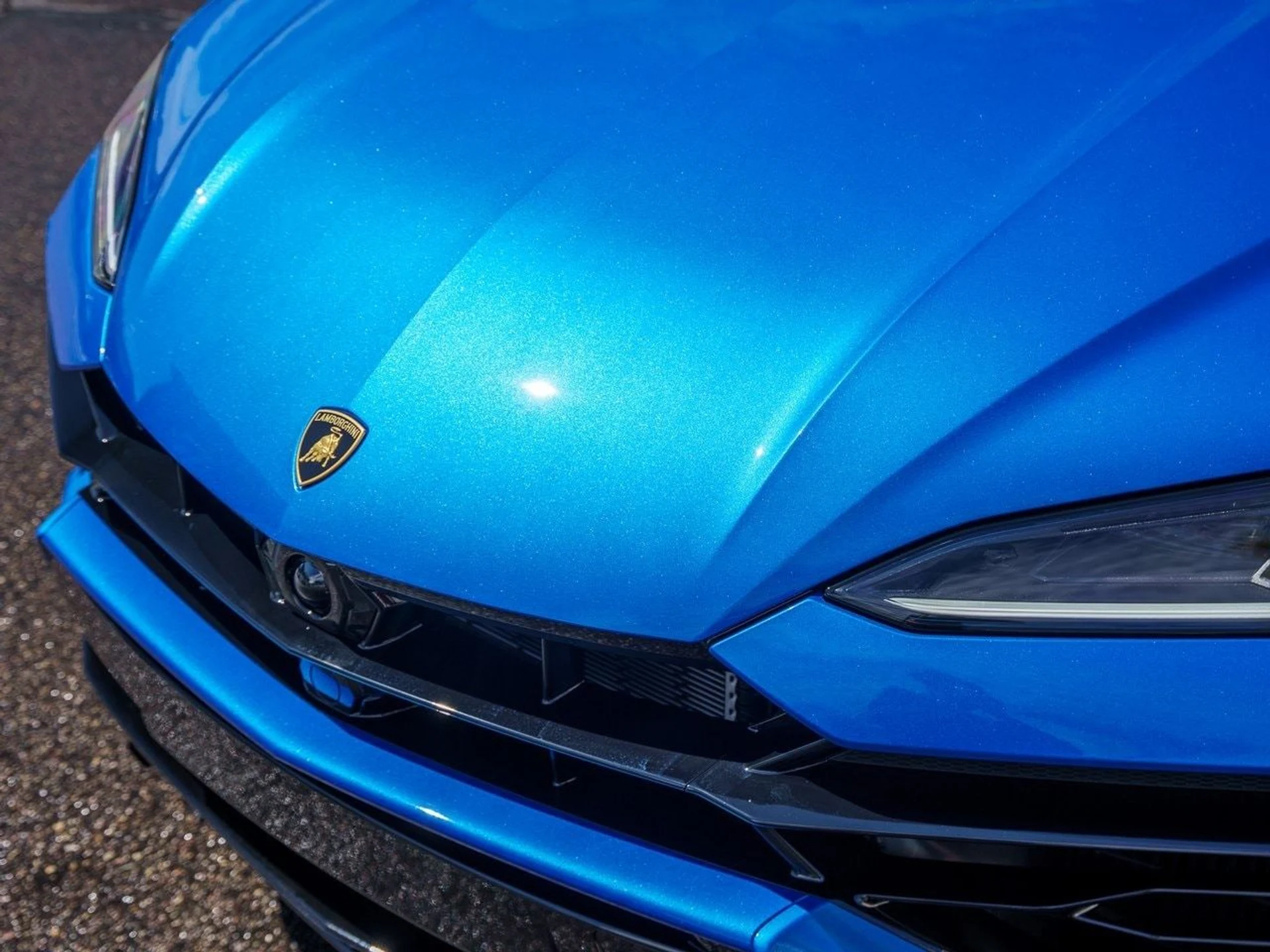 mph035_4074078972_cb9d10be0a2005a992e710cde9c9d173x_1cbc538d6d