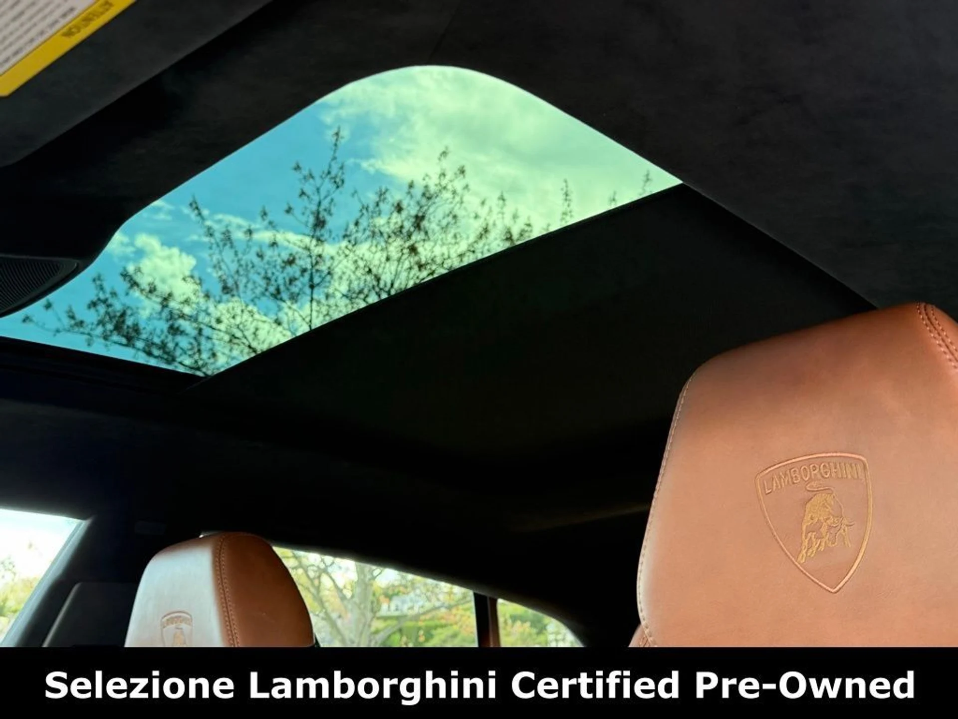 mph035_4110941388_6a616a4d5c2bb359c2d15918b00a1889x_81aa0046c9