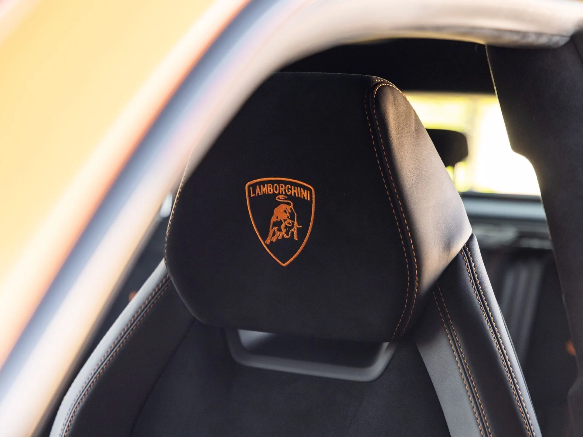 mph035_591842942_36_8c8ded926a