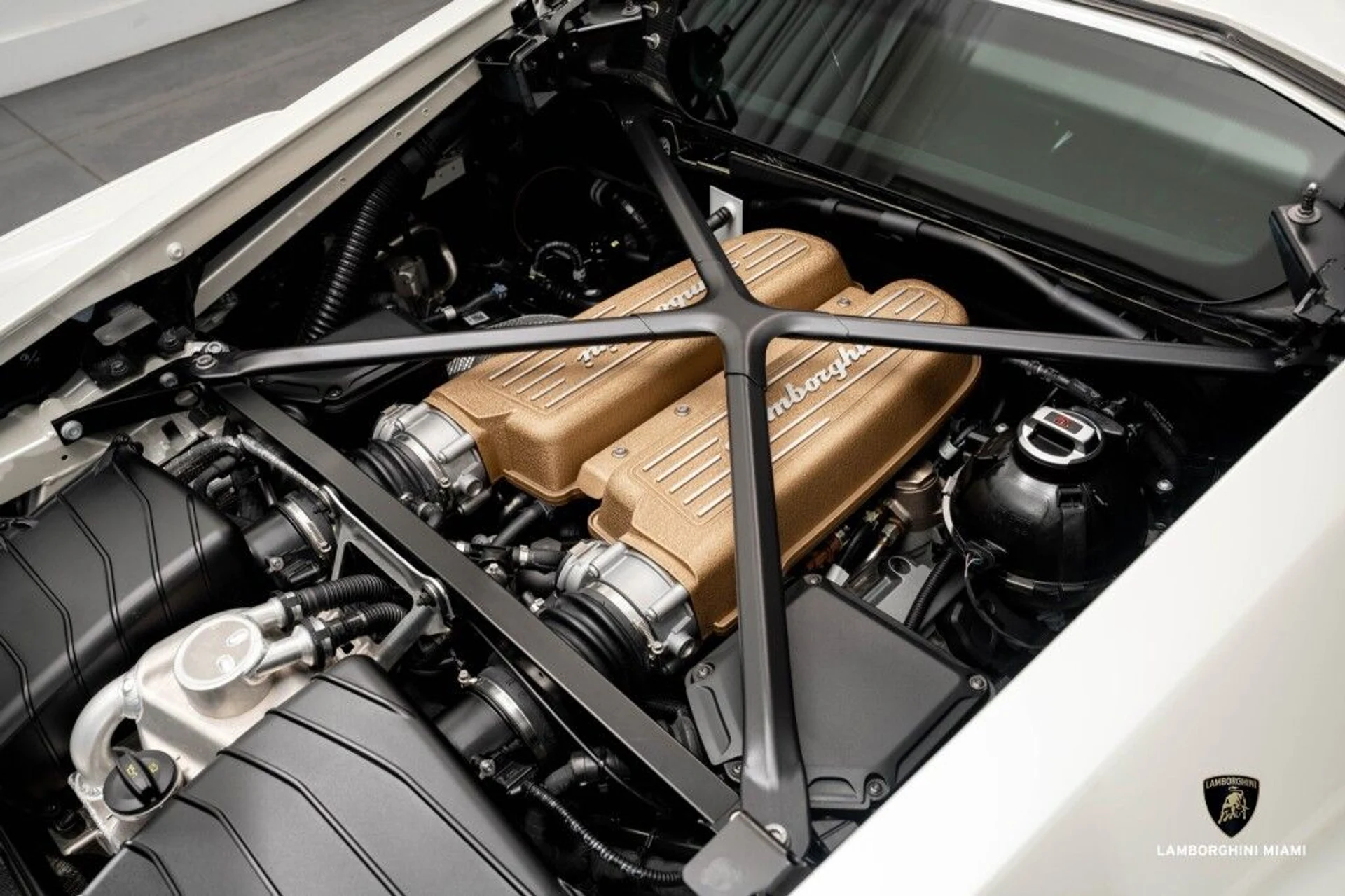 mph036_1008333329_f1acc5809f80e91fc6cd18c958710513_0de006096c