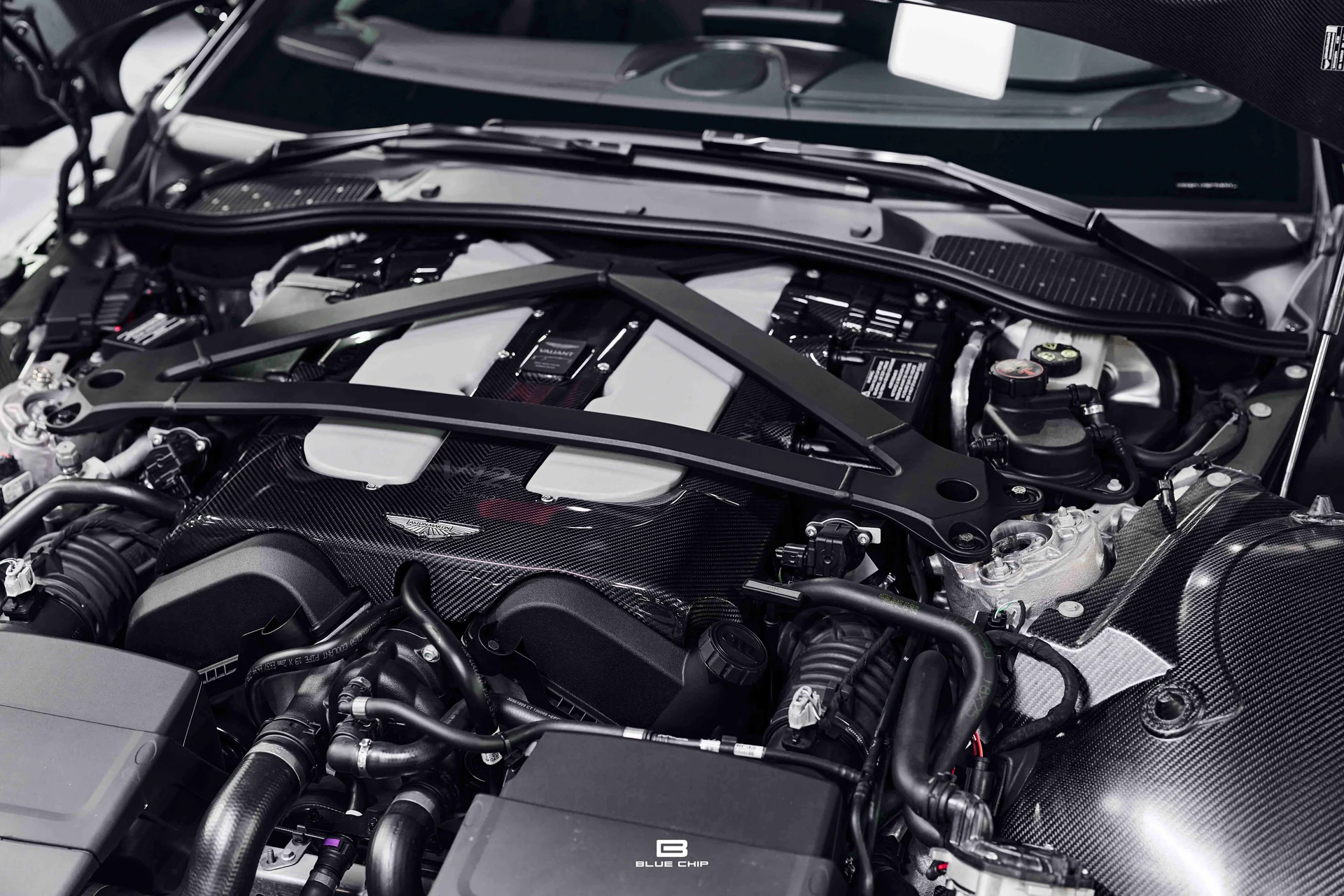 mph036_1027156572_69a765b1fc94ebbca2bc9f76_DSC_3740_d4265de2a2