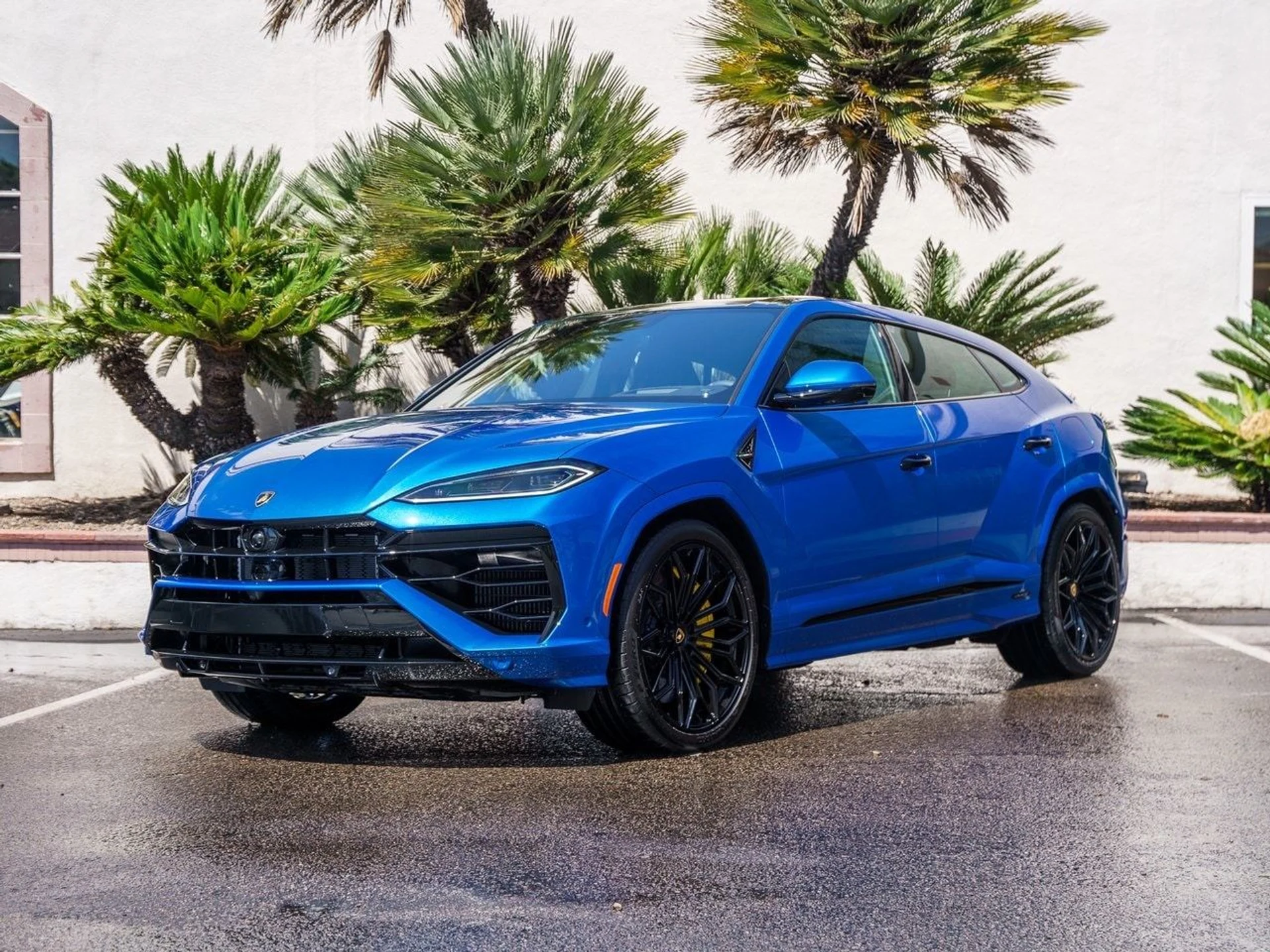 mph036_1136632649_9d98d5447c490ae63f1eddb619a40c36x_617acf3cb5