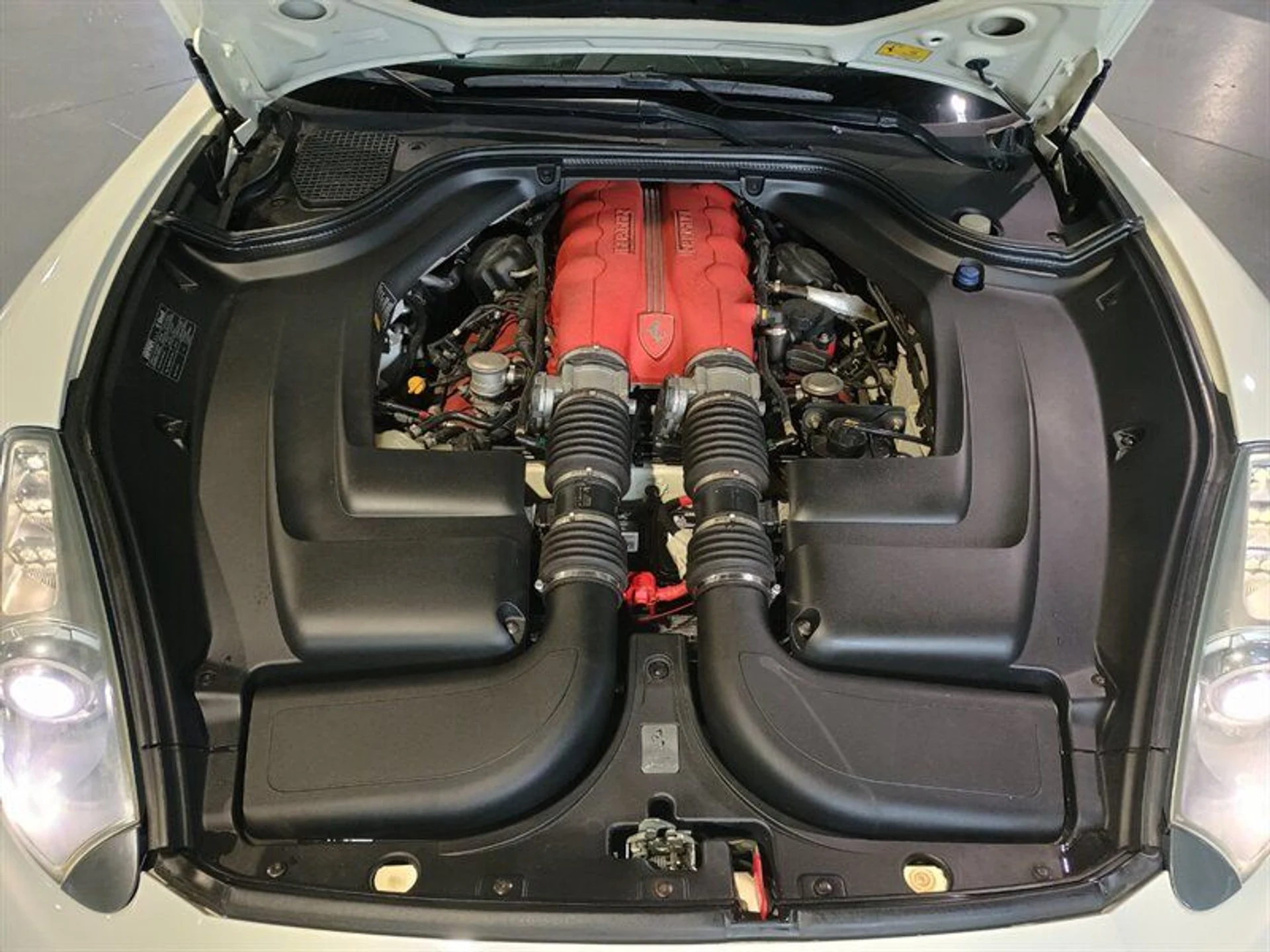 mph036_116560457_888ca8d738_800_a75fc9ba43