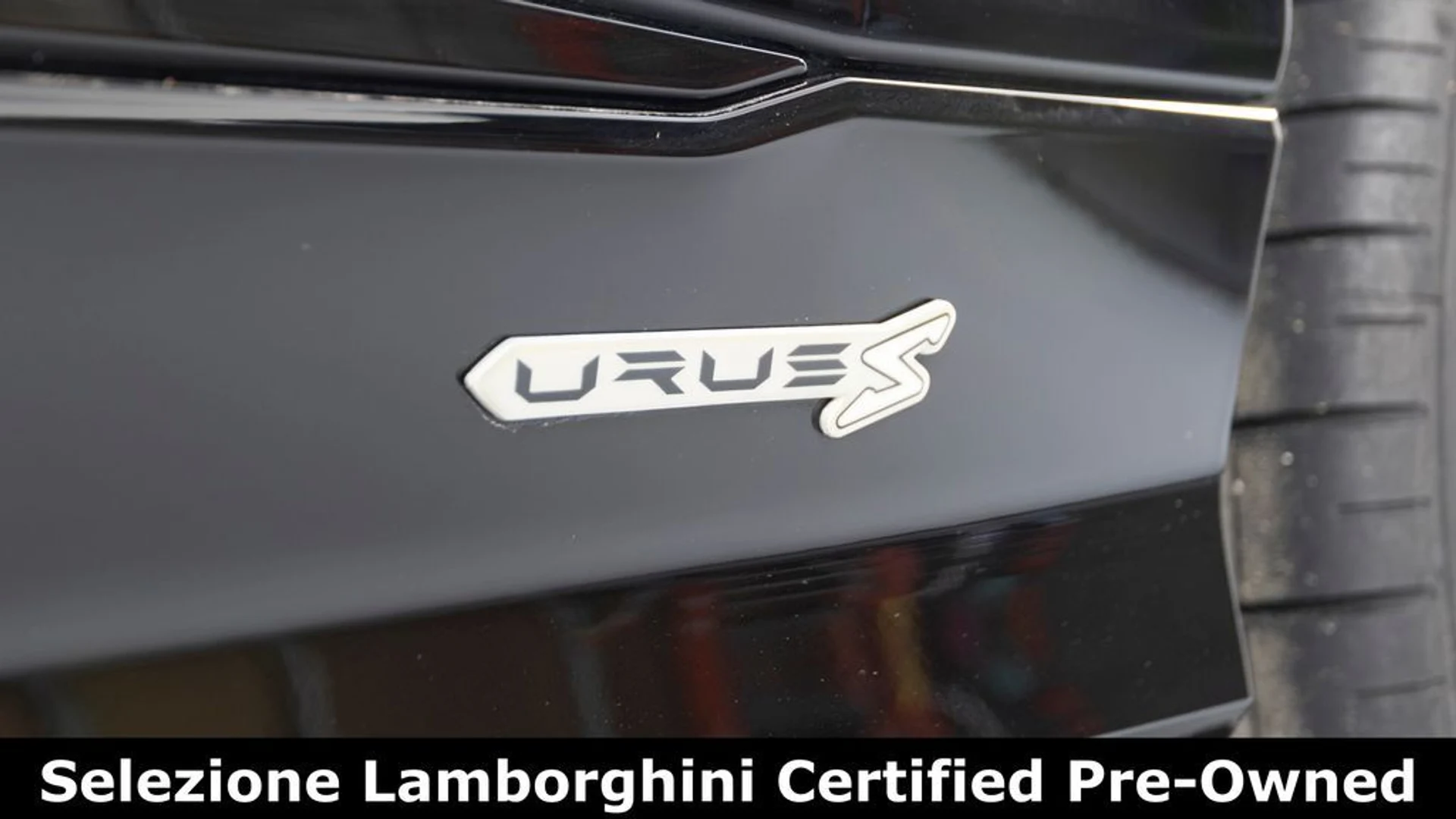 mph036_1168256012_f76f2ce35432cd9fea4428cb356e6d71x_3ebc21b8e0